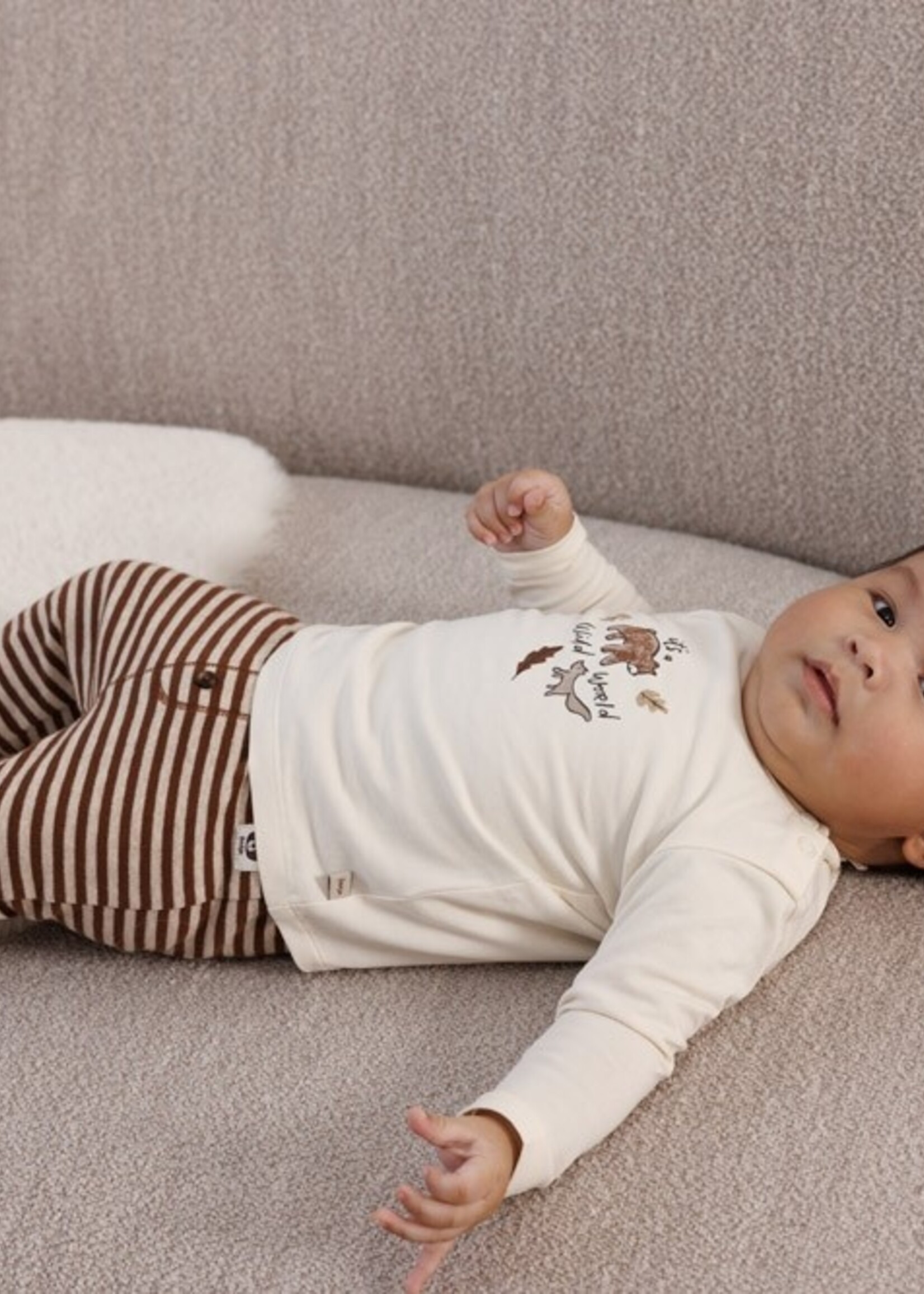 Feetje Feetje | Broek streep - Wild World