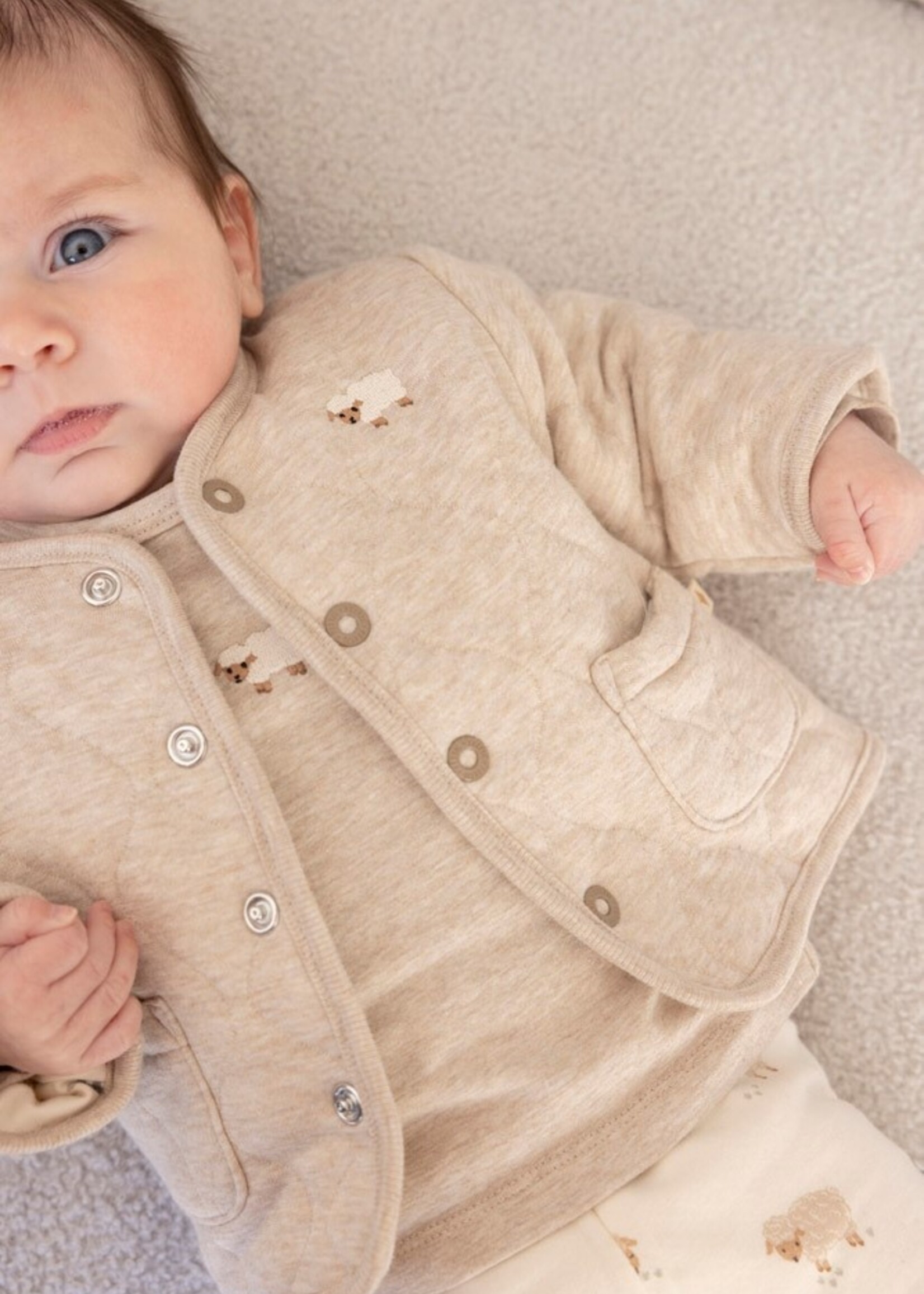 Feetje Feetje | Longsleeve - Sleepy Sheepy – Taupe Melange