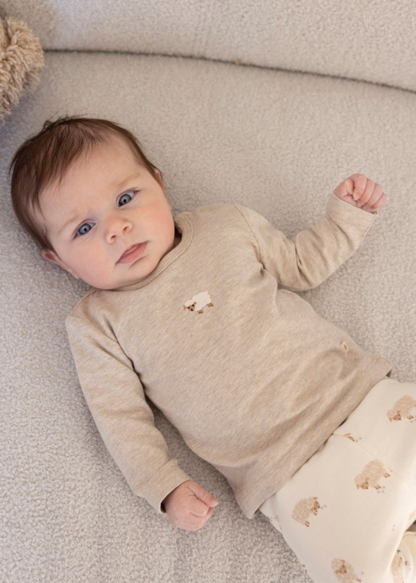 Feetje Feetje | Longsleeve - Sleepy Sheepy – Taupe Melange
