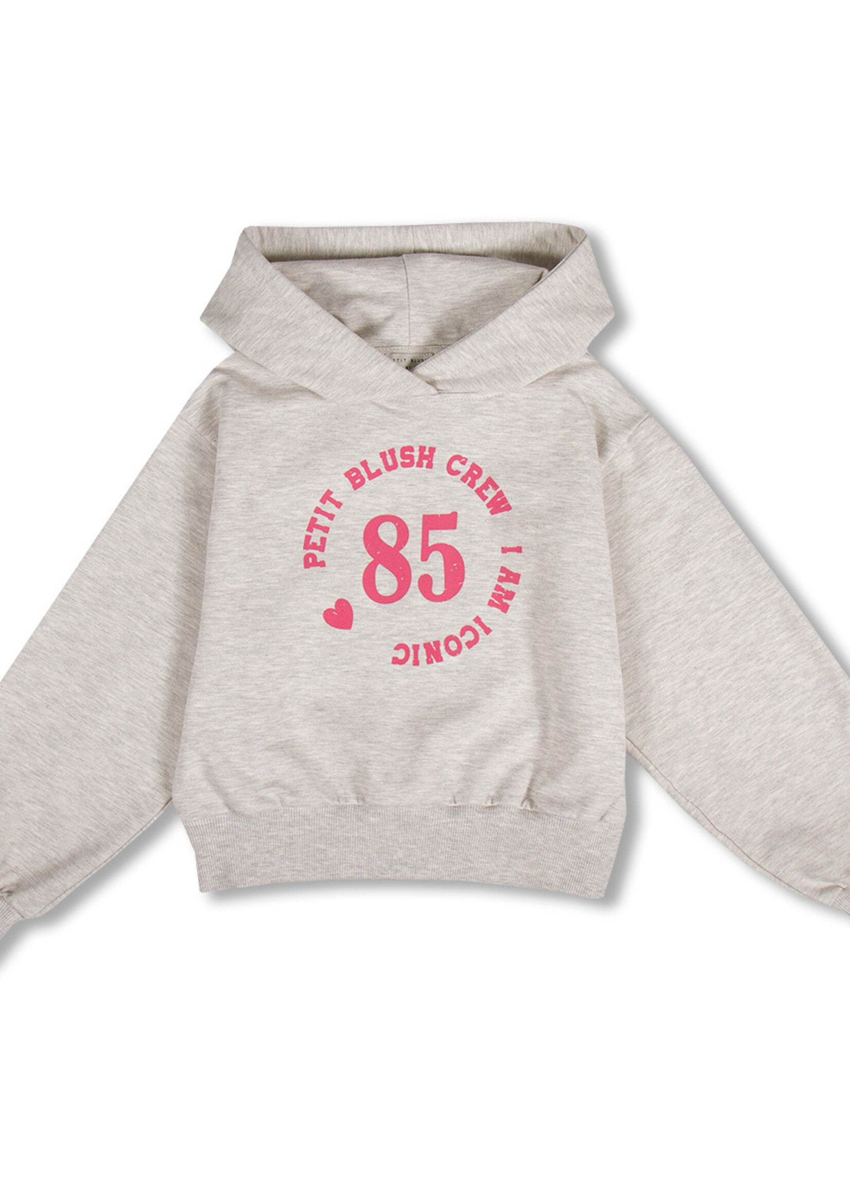 Petit Blush Petit Blush | Hooded Sweater - Grey Melange