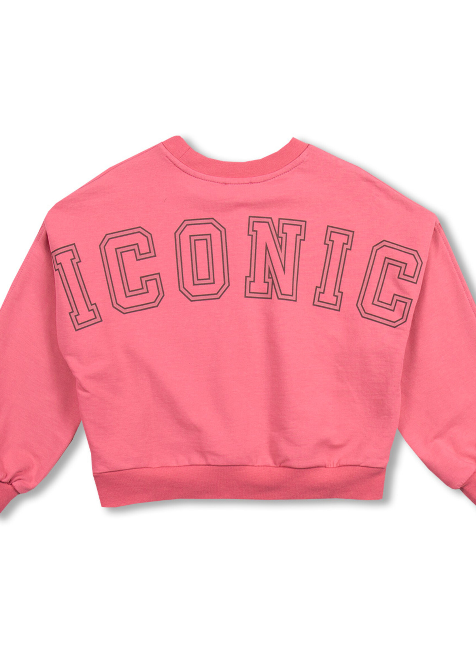 Petit Blush Petit Blush | Luca Sweater Iconic - Fruit Dove