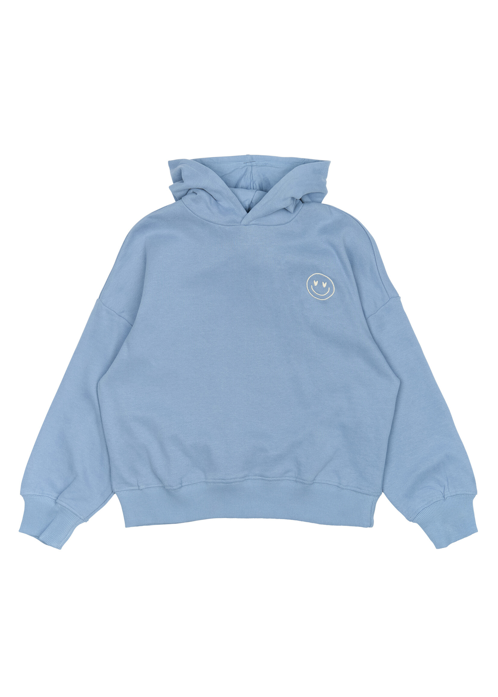 THE NEW THE NEW | TNPetronella OS Hoodie - Tempest
