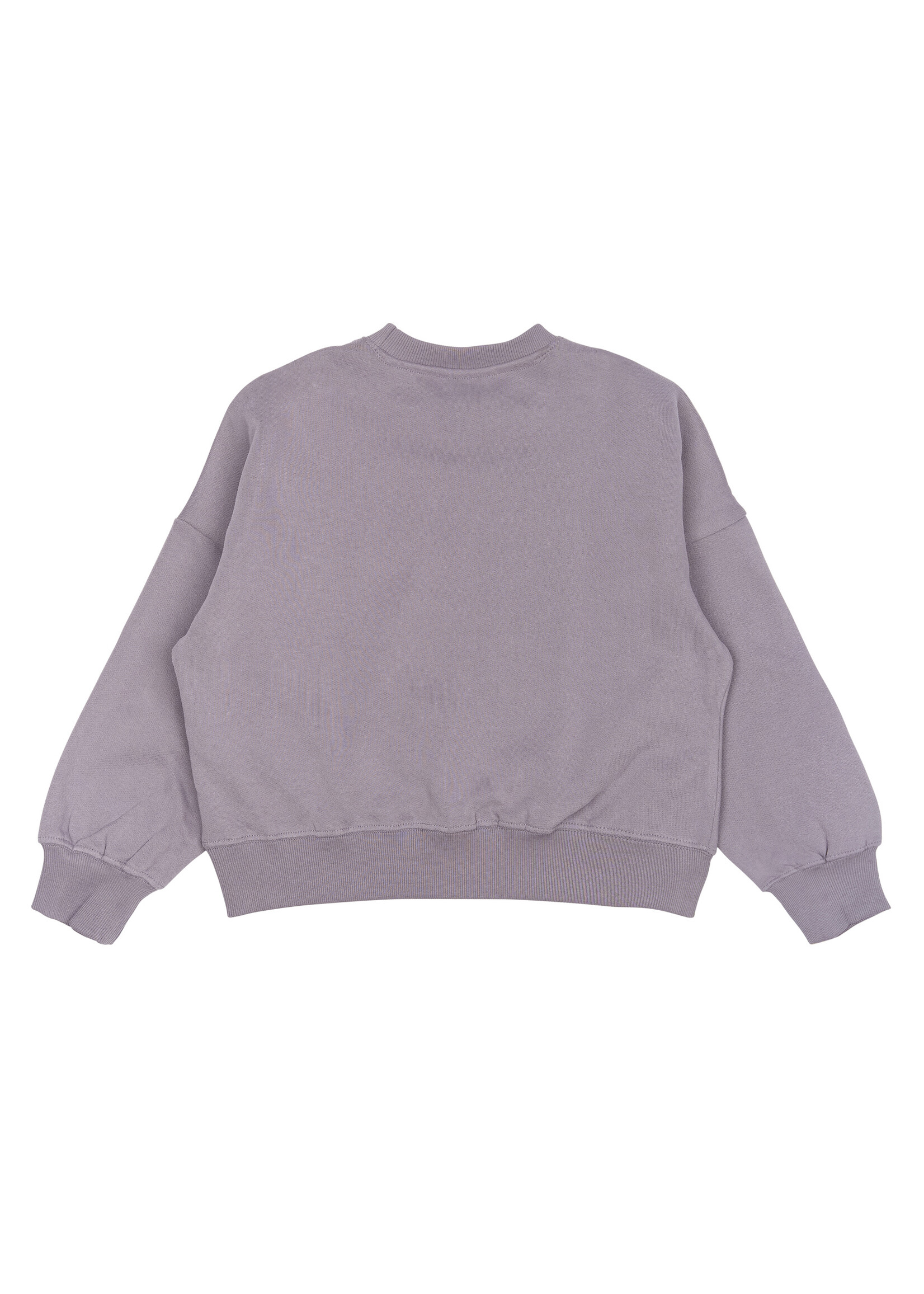 THE NEW THE NEW | TNPrecious OS Sweatshirt - GRAY RIDGE