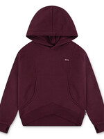 Levi's Levi’s | LVG BATWING PATCH HOODIE - CHOCOLATE TRUFFLE