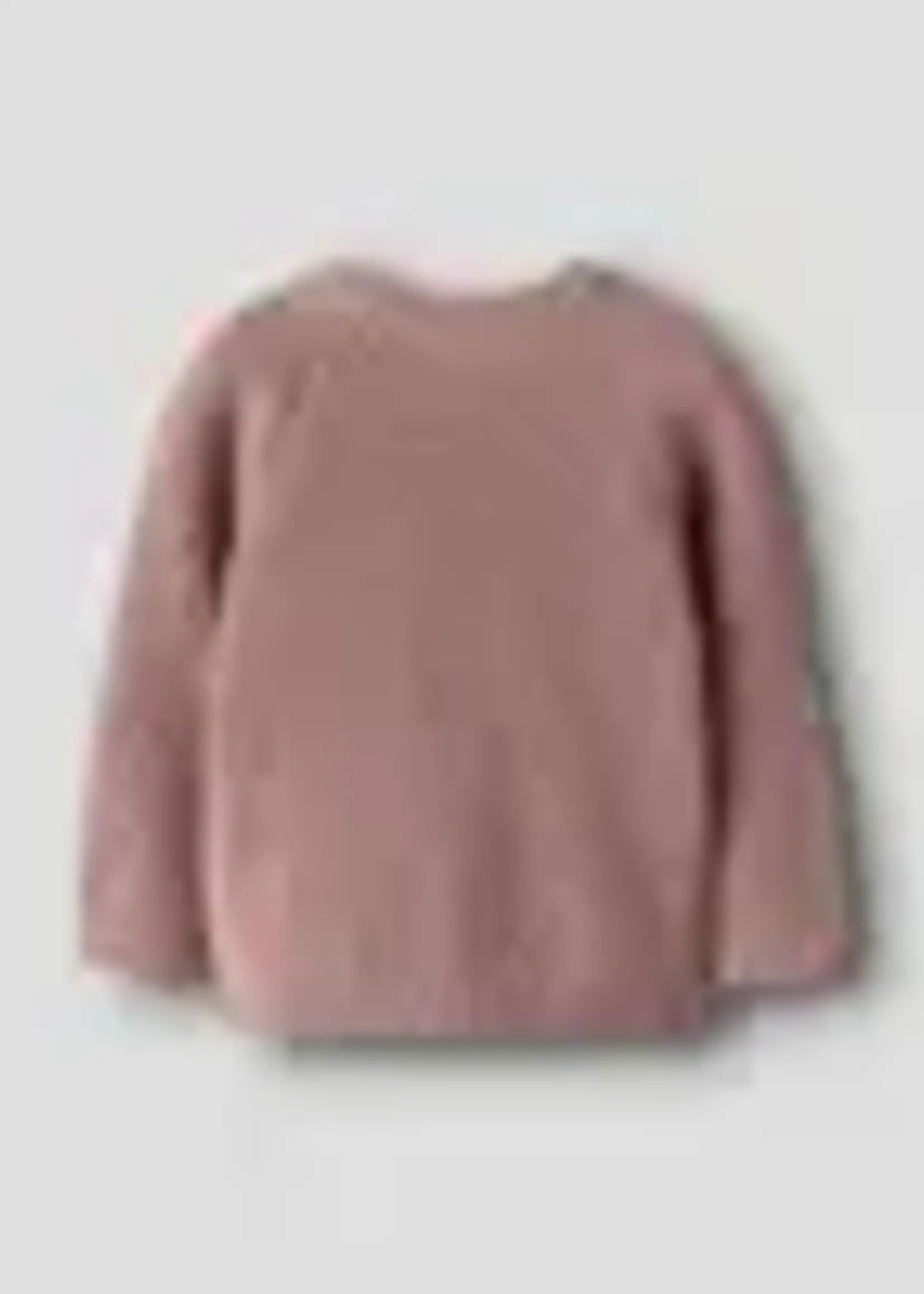Lil' Atelier Lil'Atelier | NBFEMLEN emb ls knit - Misty Rose