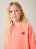 Tumble 'n Dry Tumble 'n Dry | Sweater - Fluo 3063