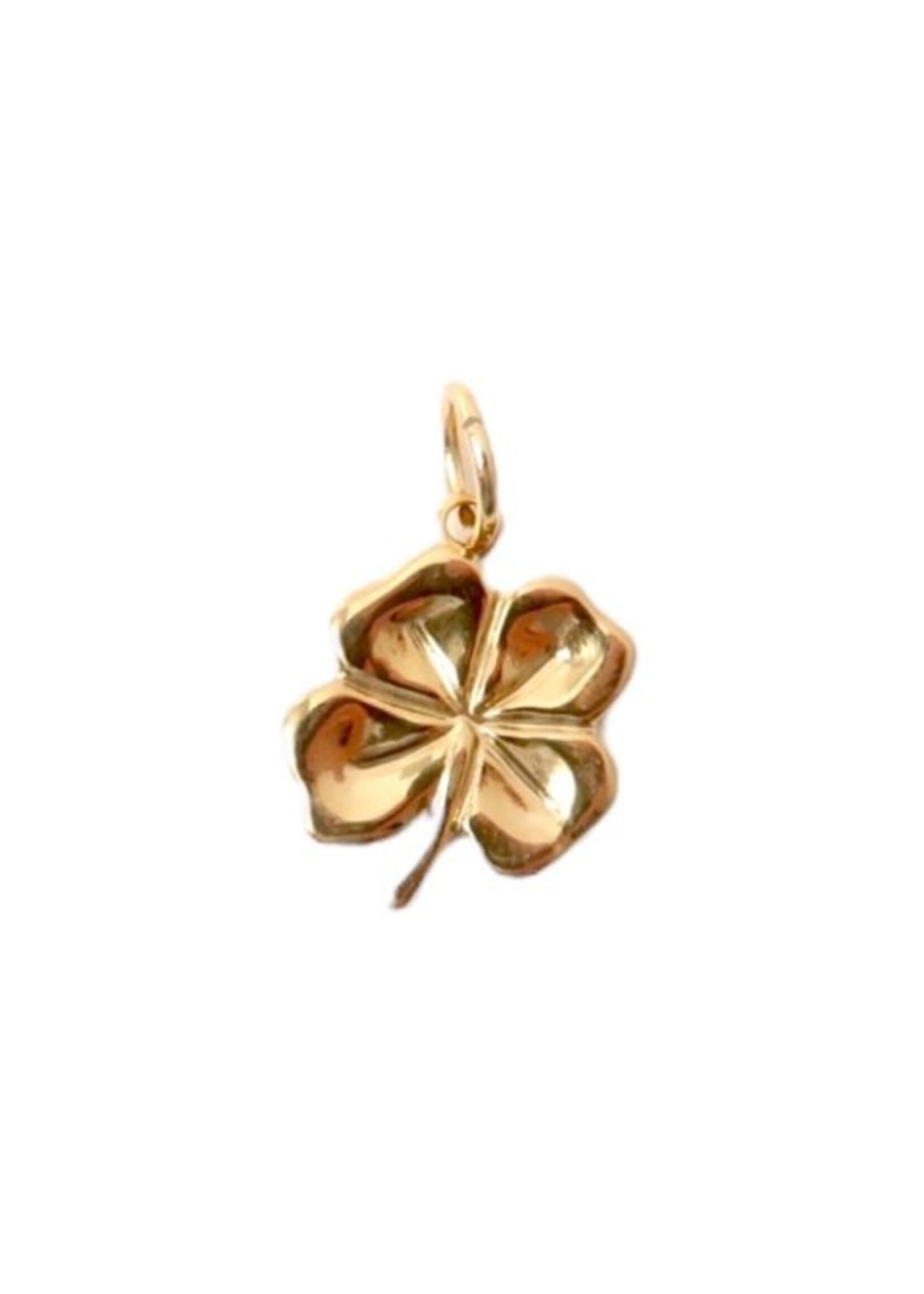 LOVEissue LOVEissue | Charm - Big clover