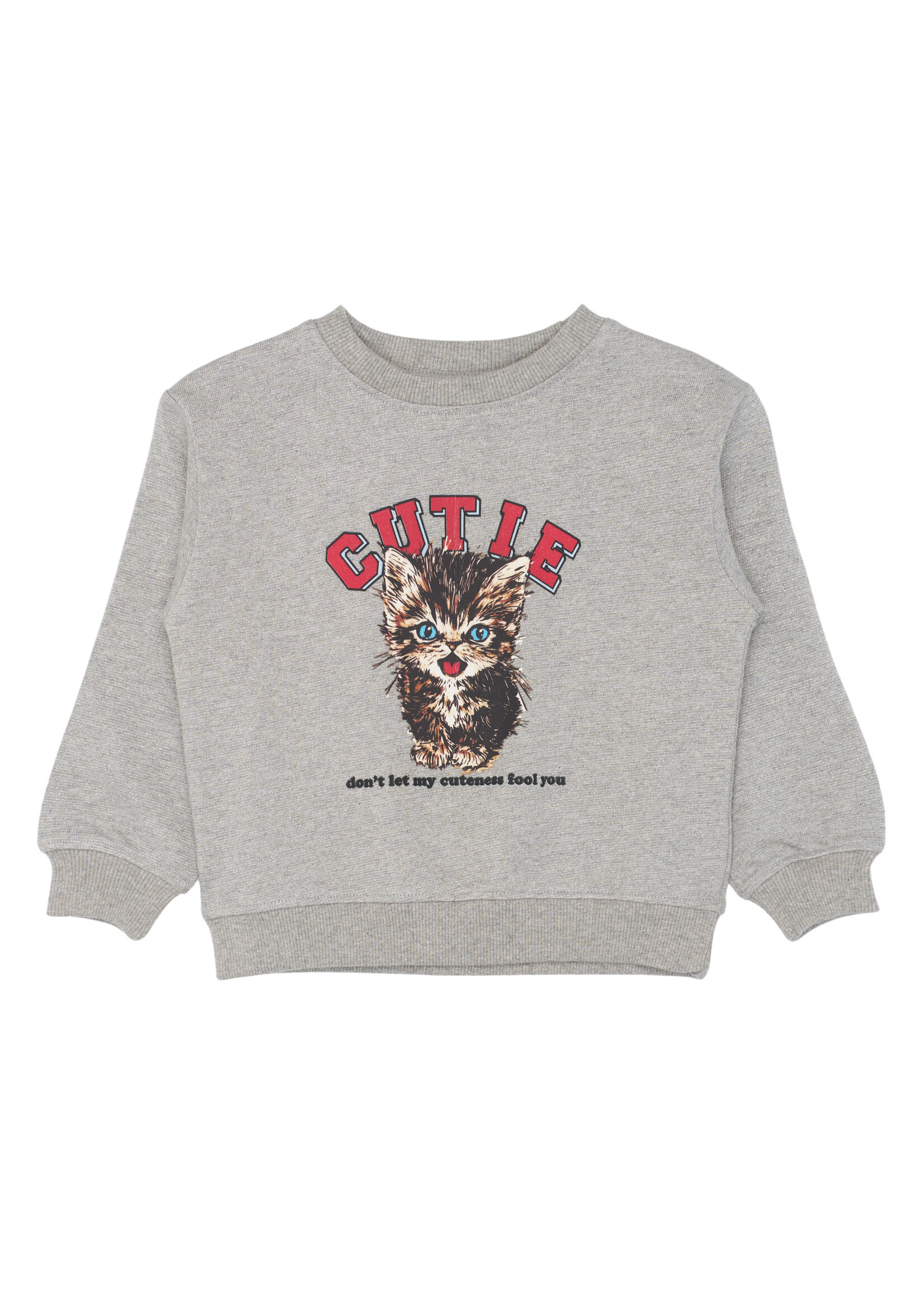 THE NEW SIBLINGS The New Siblings | TNSTRonja OS Glitter Sweatshirt - Light Grey Melange