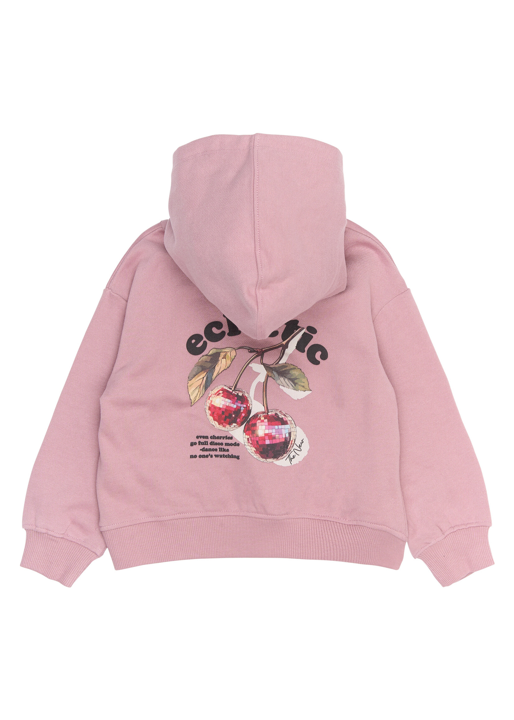 THE NEW SIBLINGS The New Siblings |TNSTRagnhild OS Hoodie - Mauve Shadows