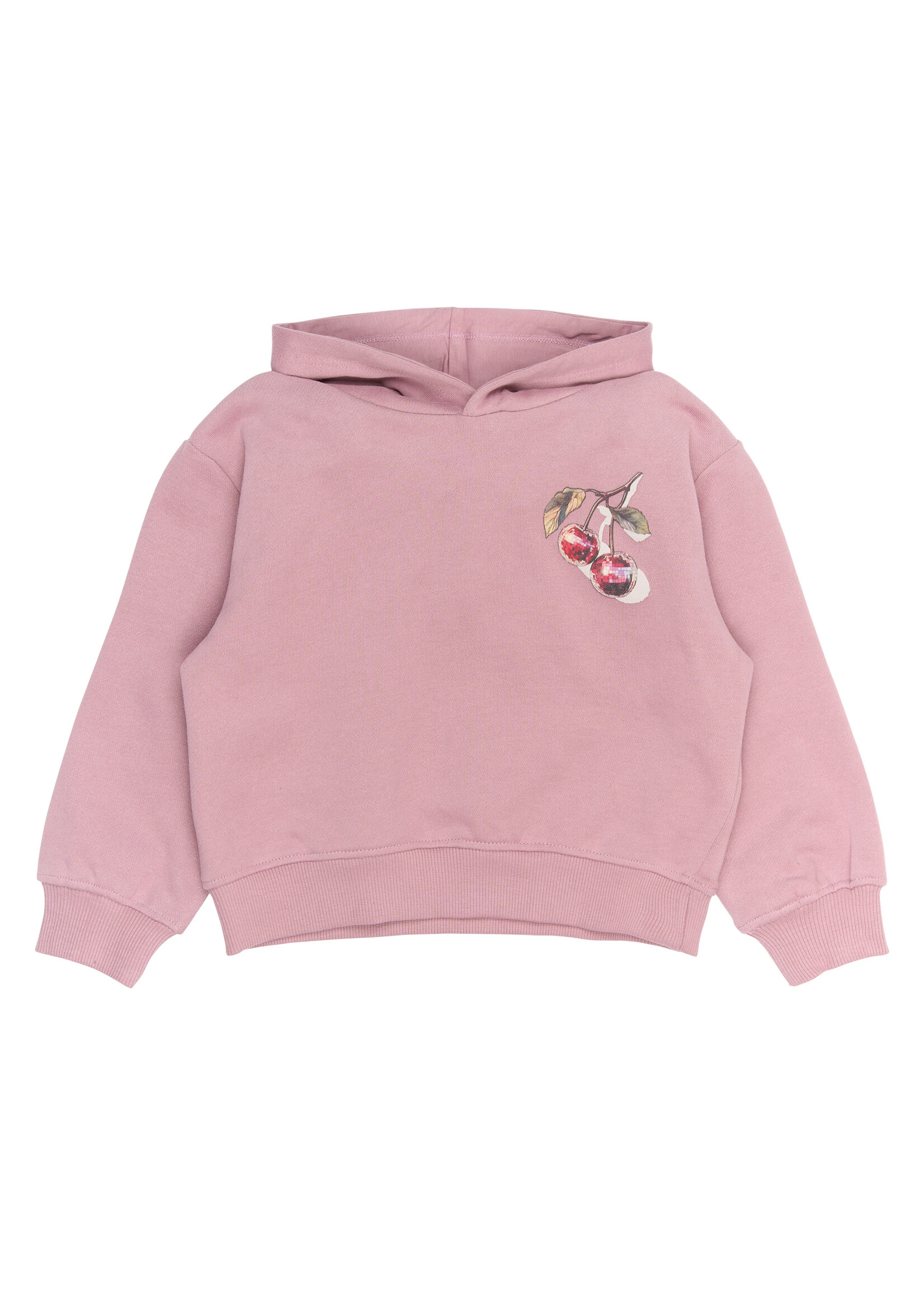 THE NEW SIBLINGS The New Siblings |TNSTRagnhild OS Hoodie - Mauve Shadows