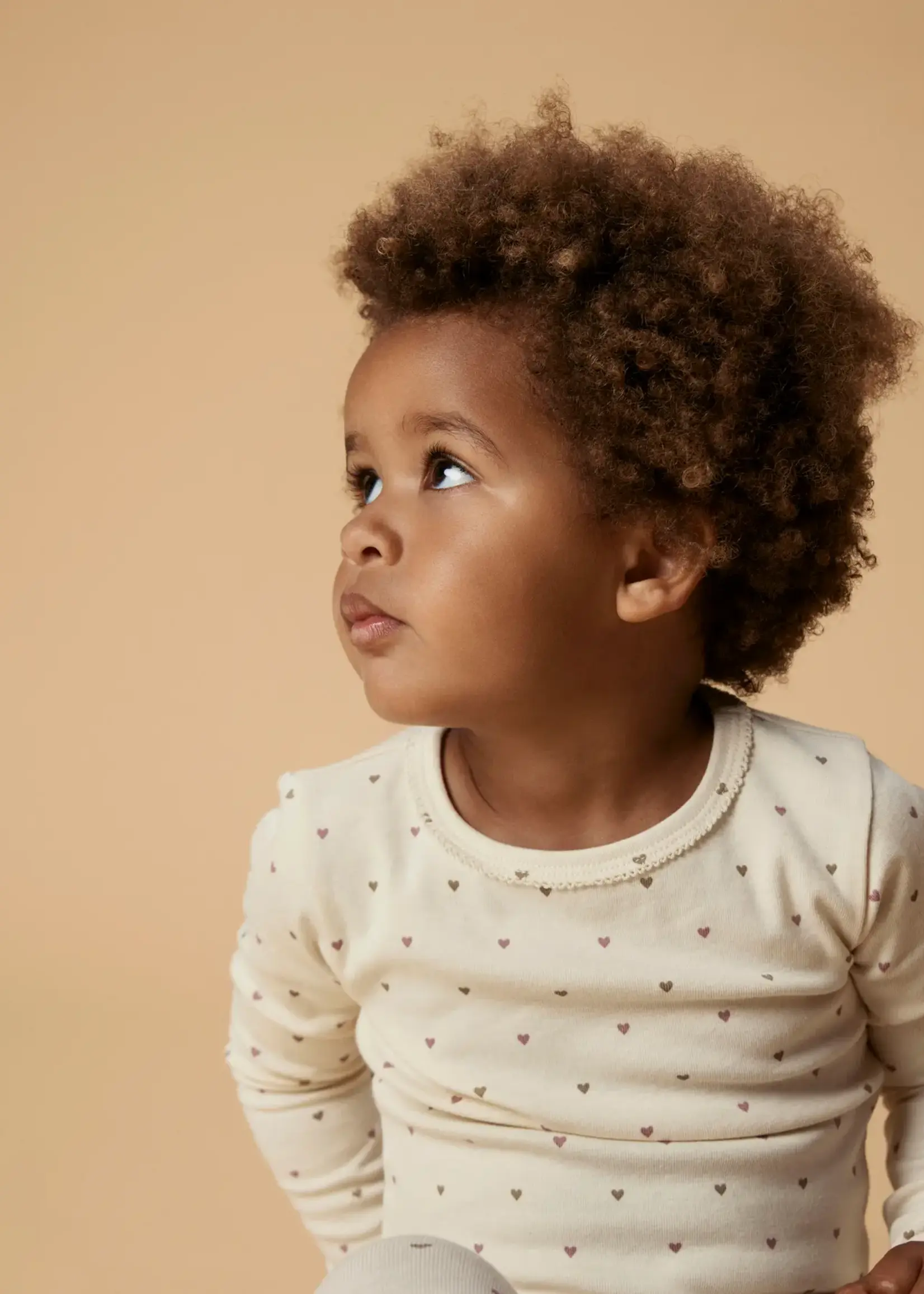 Lil' Atelier | NMFLALO TIG LS SLIM TOP LIL - Turtledove HEART