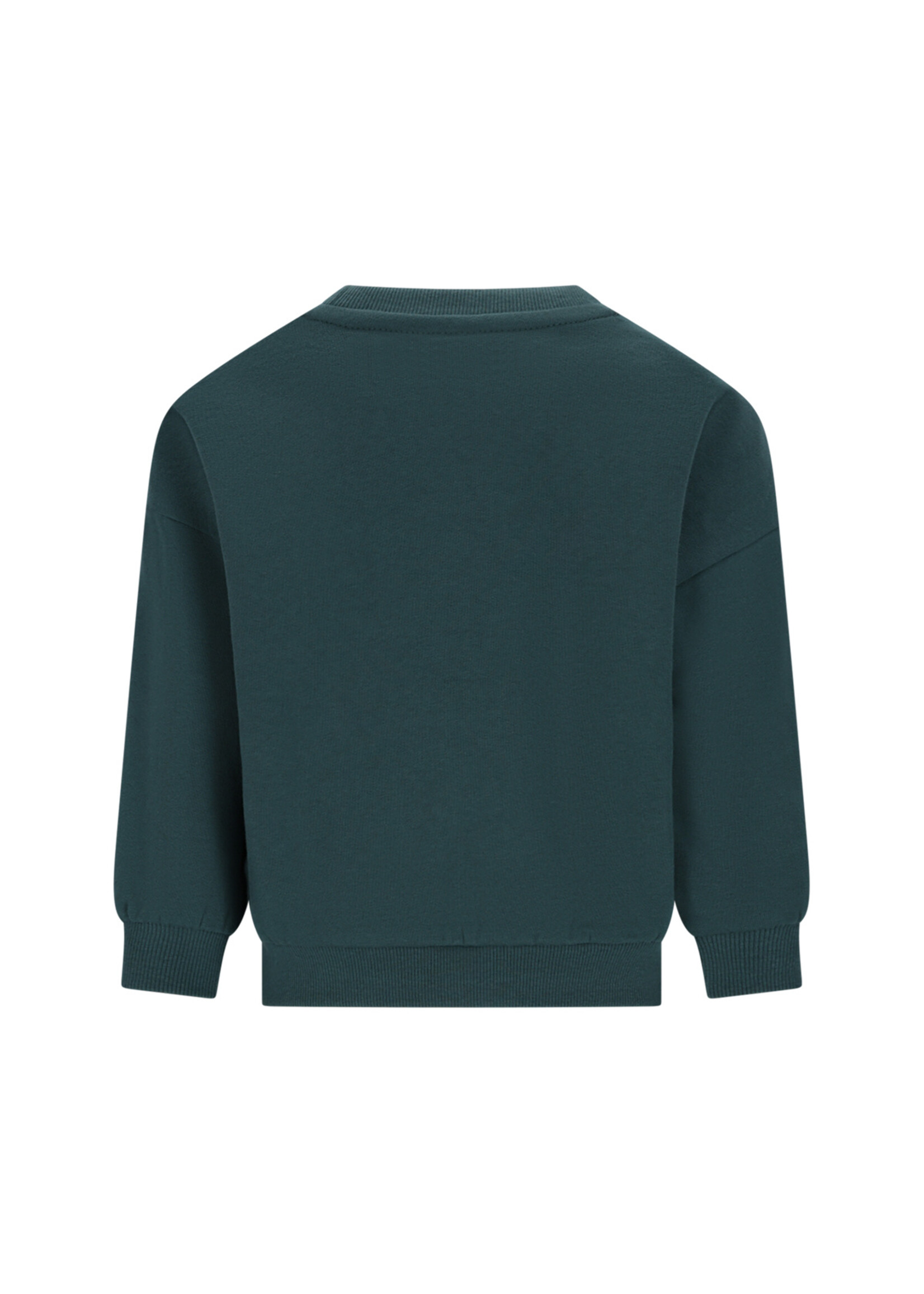 The New Chapter The New Chapter | Bille The New Chapter sweater – Jasper Green