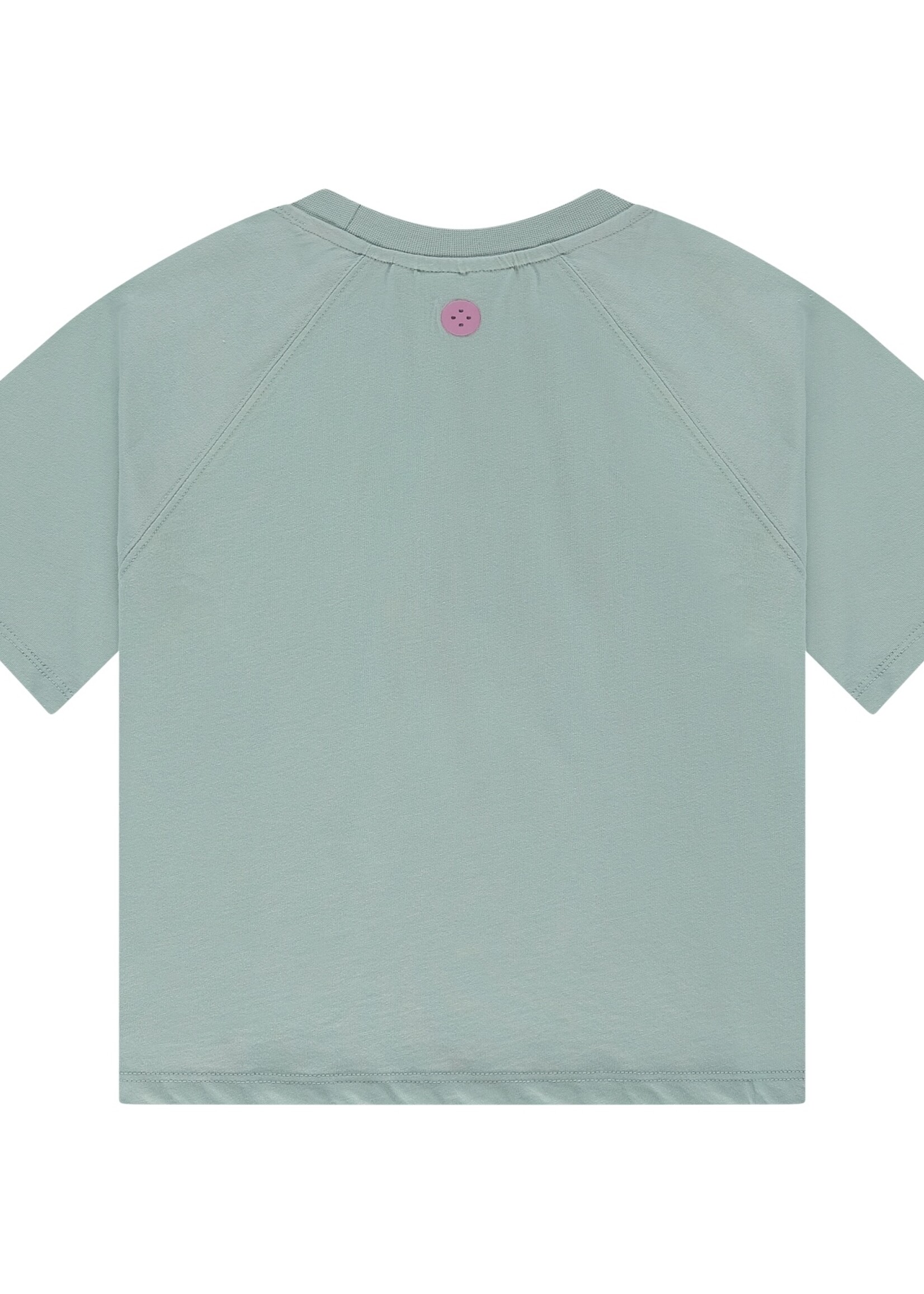 Stains & Stories  Stains & Stories | girls t-shirt short sleeve - Mint