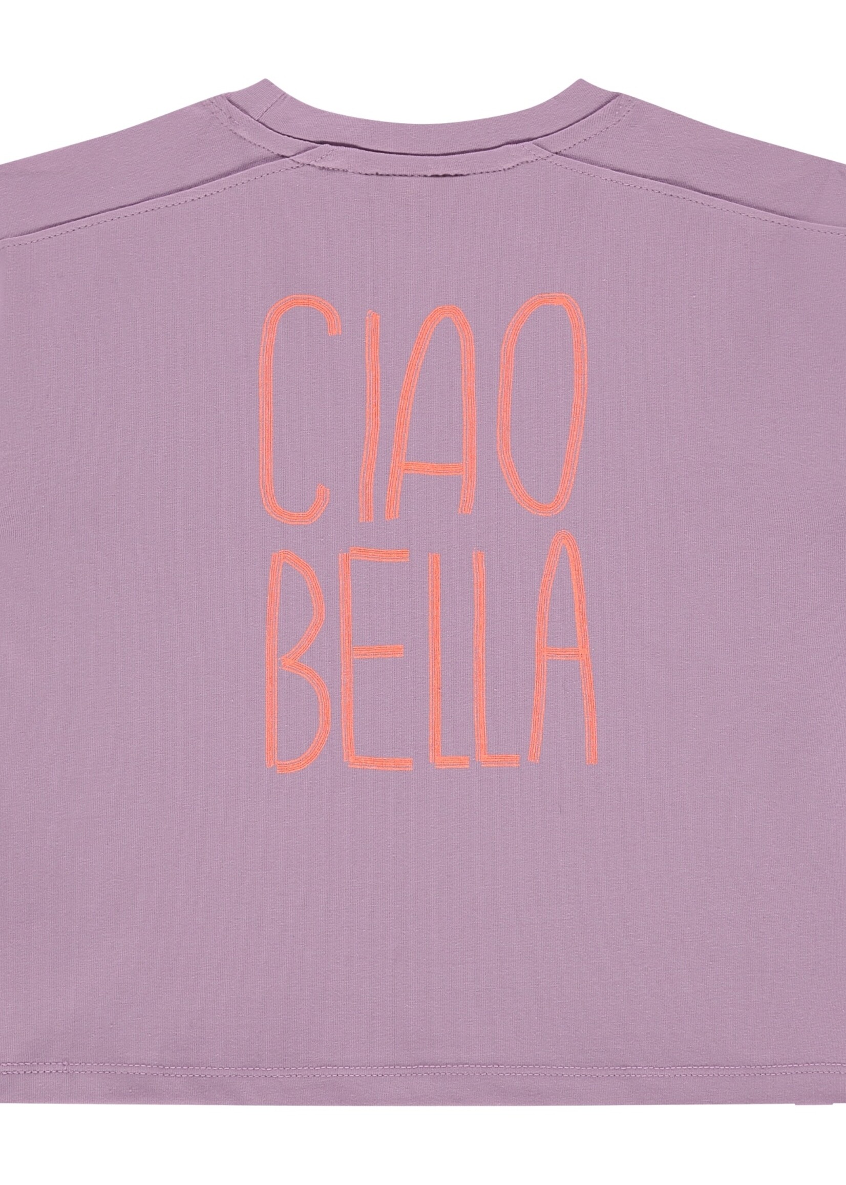 Stains & Stories  Stains & Stories | girls t-shirt short sleeve – Lilac