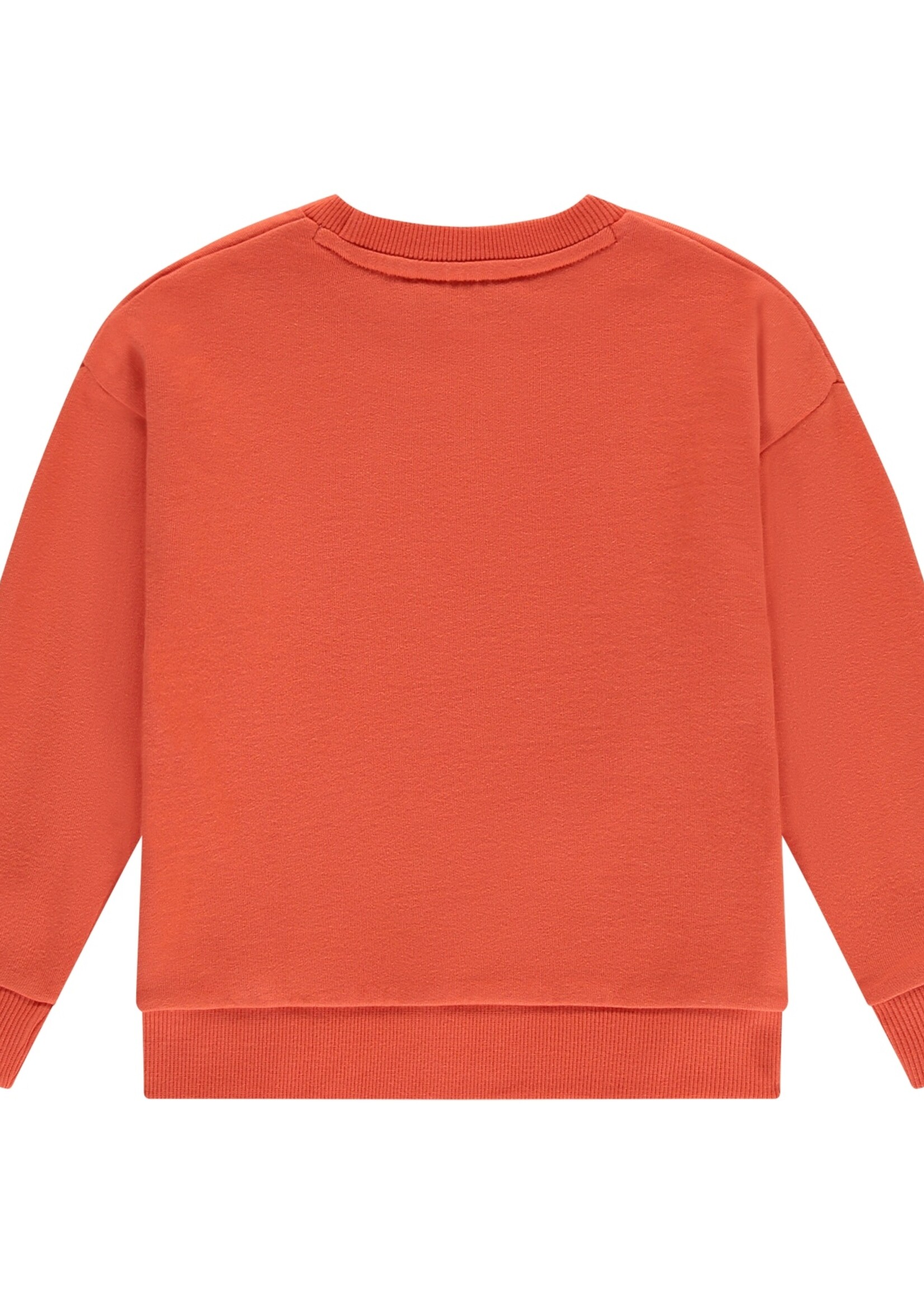 Stains & Stories  Stains & Stories | boys sweatshirt - Grapefruit
