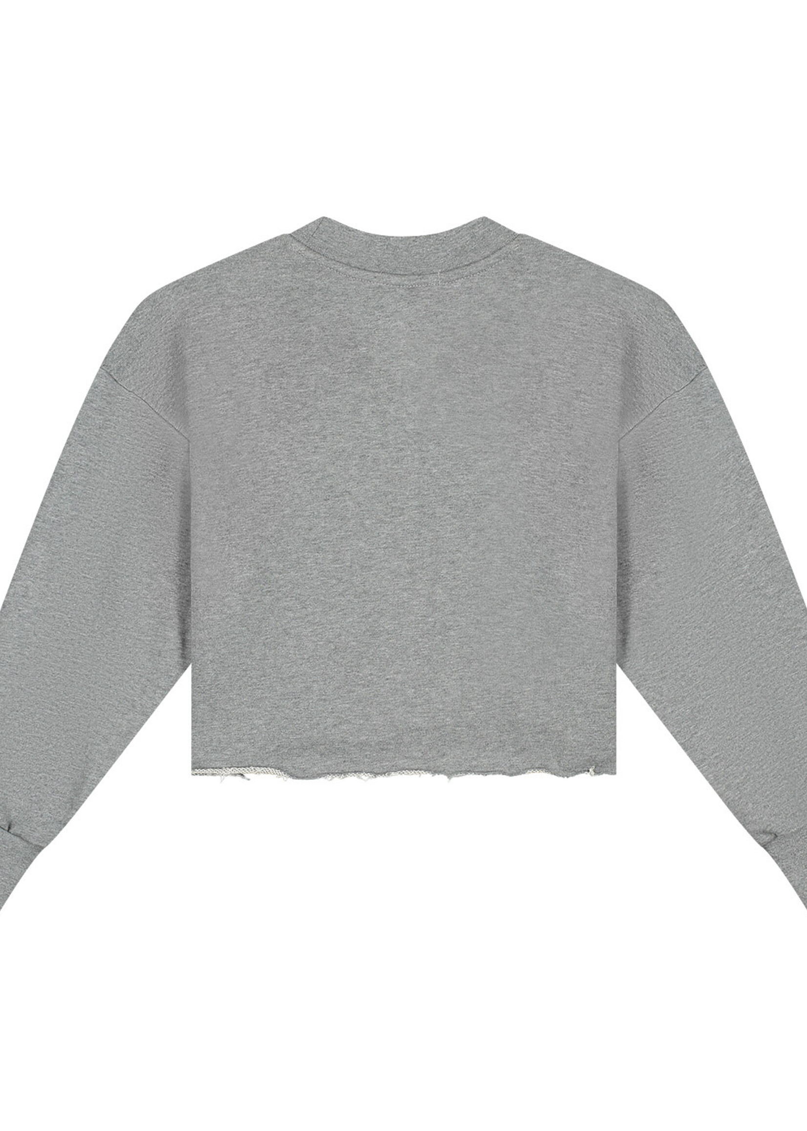Charlie Petite Charlie Petite | Lux Sweater - Grey Melange