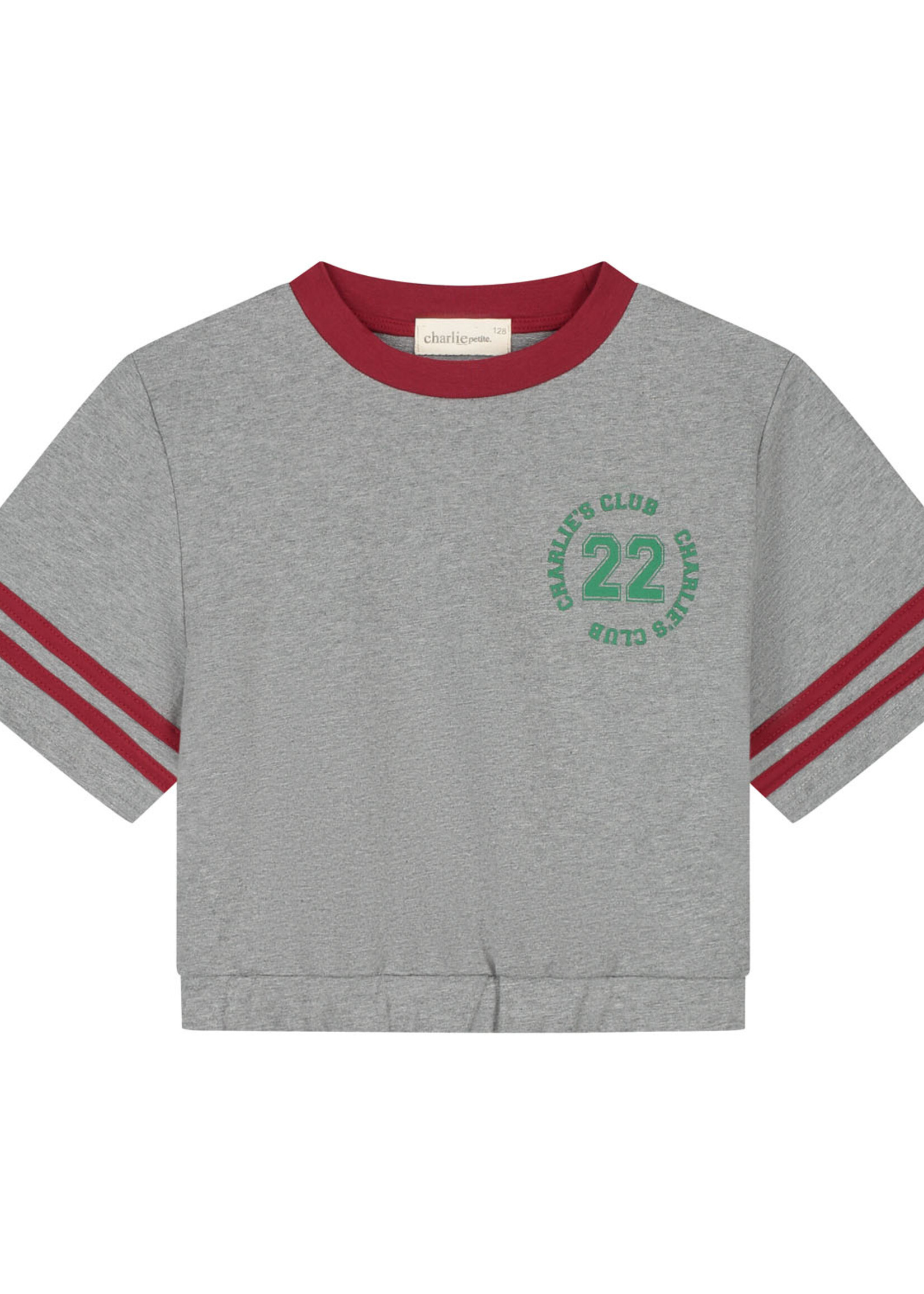 Charlie Petite Charlie Petite | Lianne T-Shirt - Grey Melange