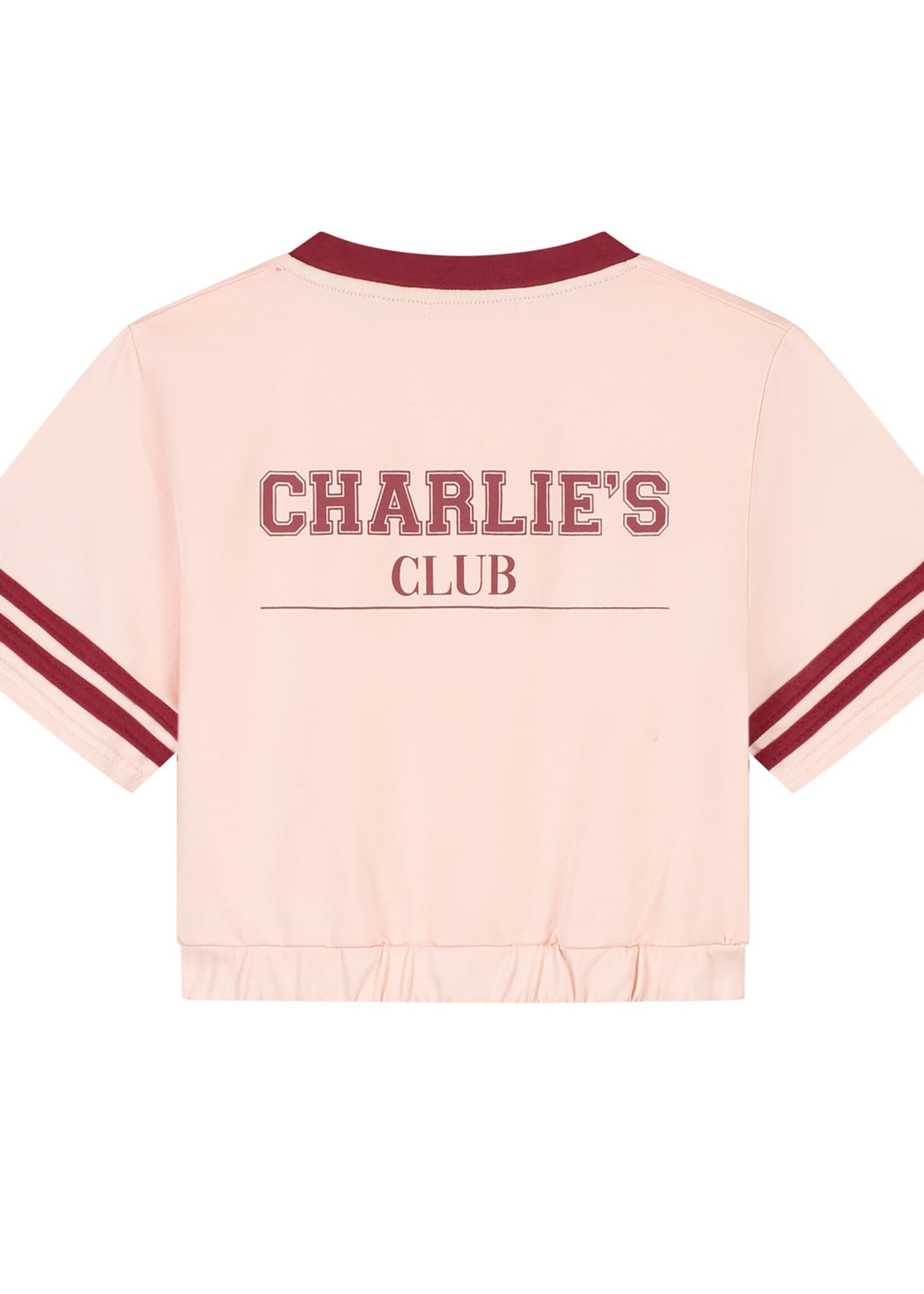 Charlie Petite Charlie Petite | Lianne T-Shirt - Pink Washed