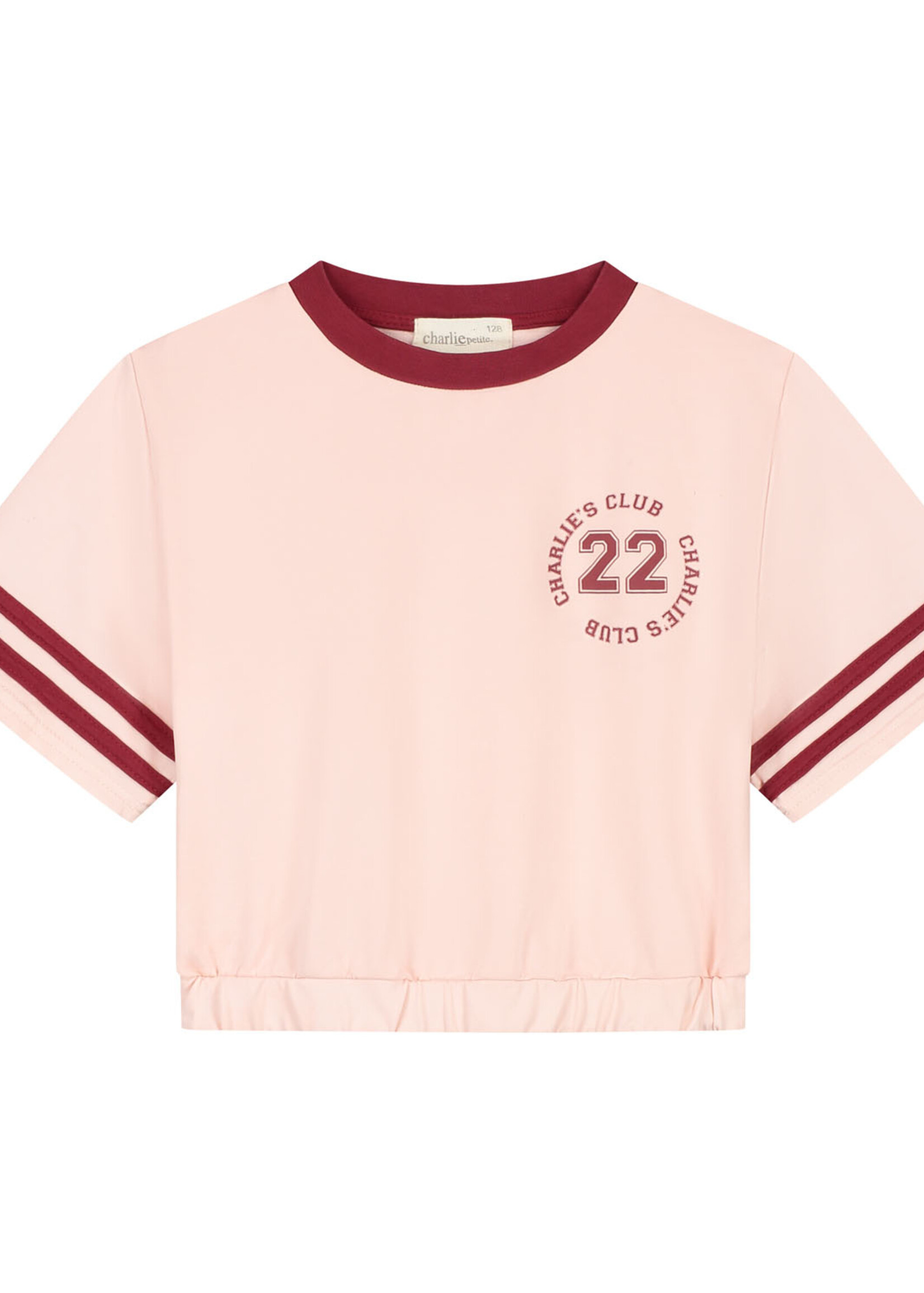 Charlie Petite Charlie Petite | Lianne T-Shirt - Pink Washed