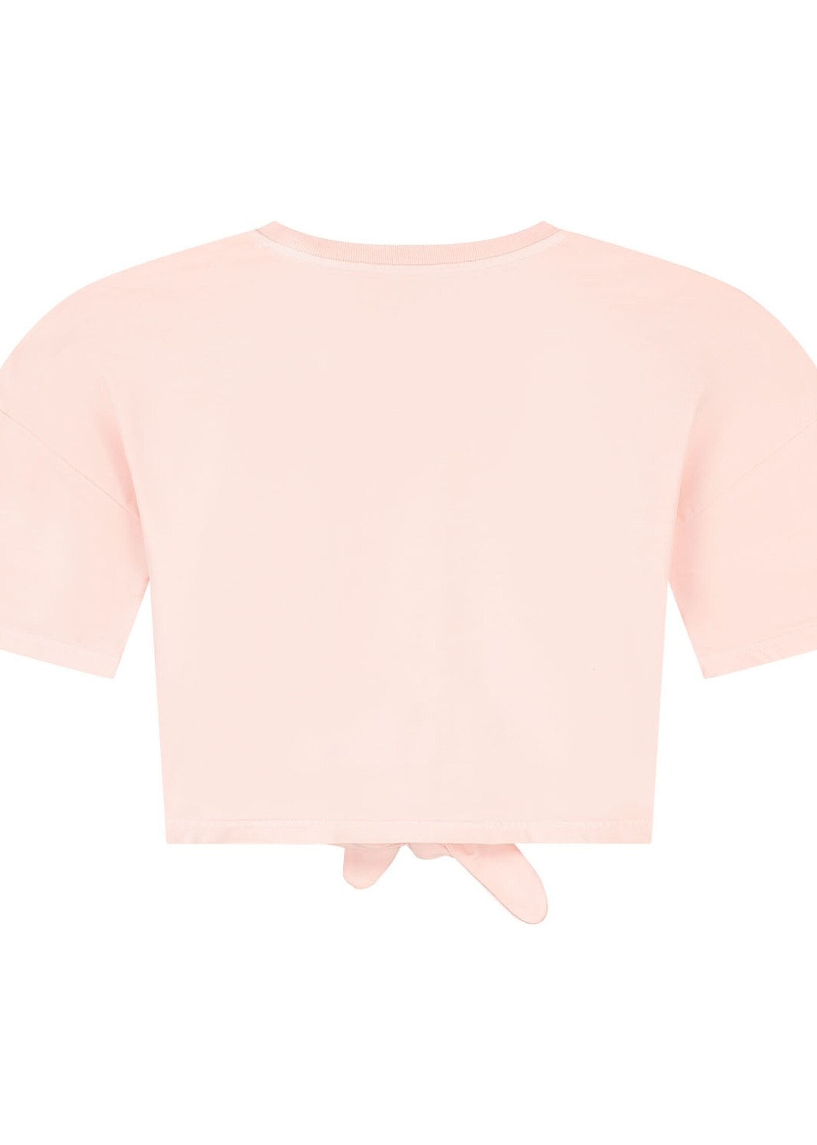 Charlie Petite Charlie Petite | Esmee T-Shirt - Pink Washed