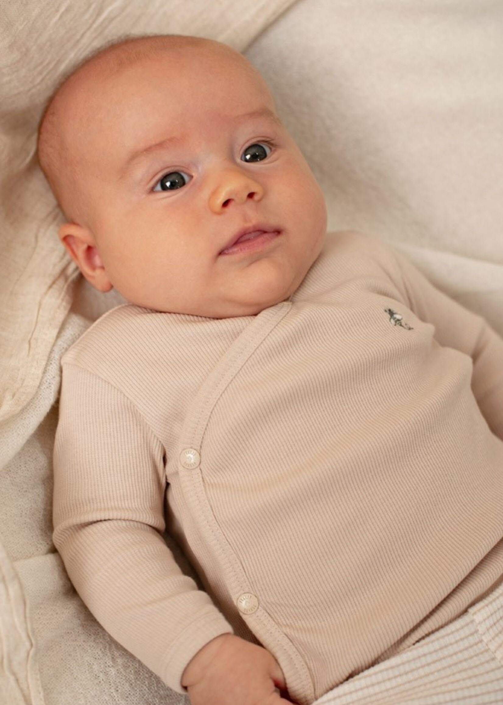 Feetje Feetje | Broek rib met streep - Honey Bear