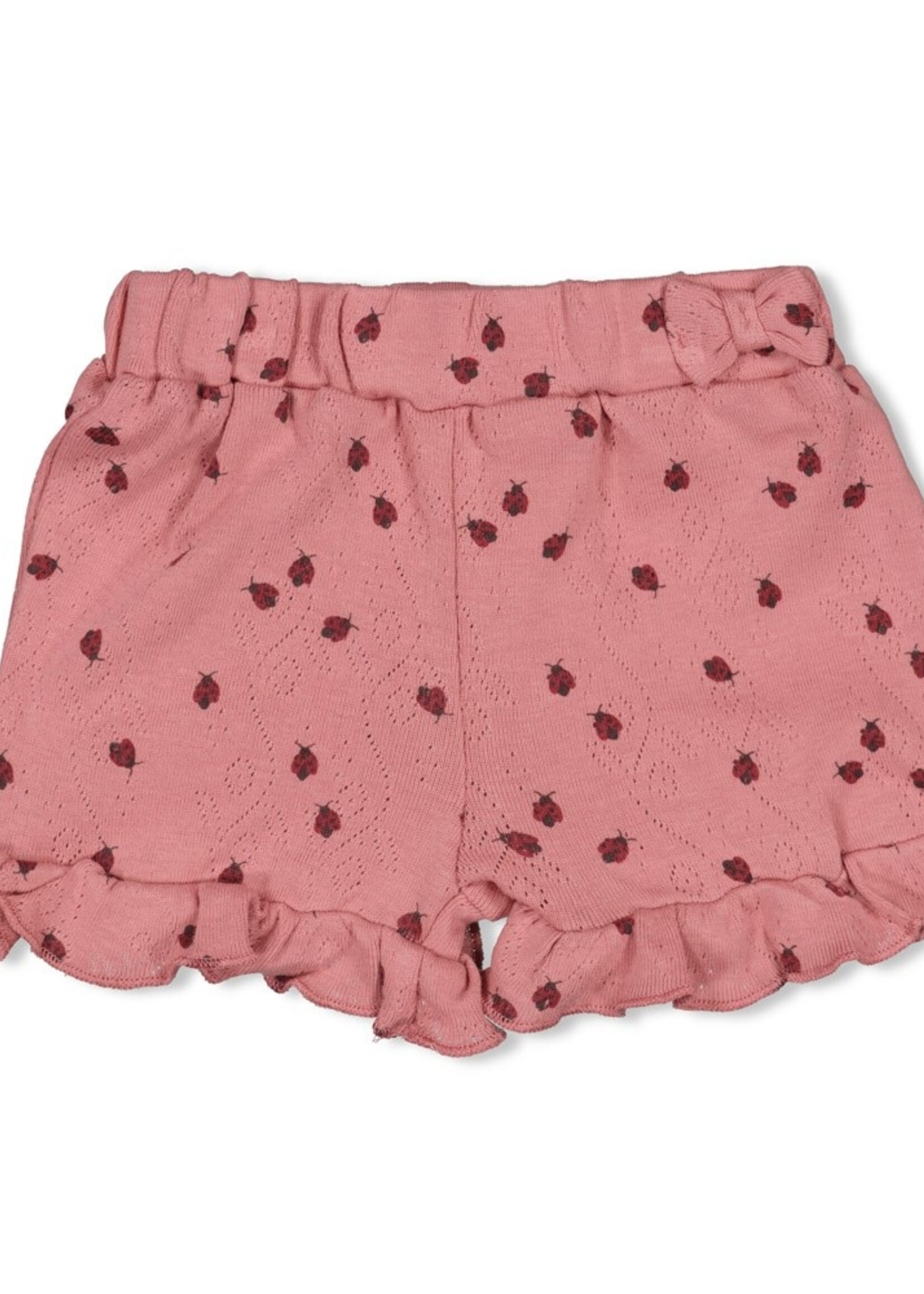 Feetje Feetje | Short ajour rib AOP - Ladybug