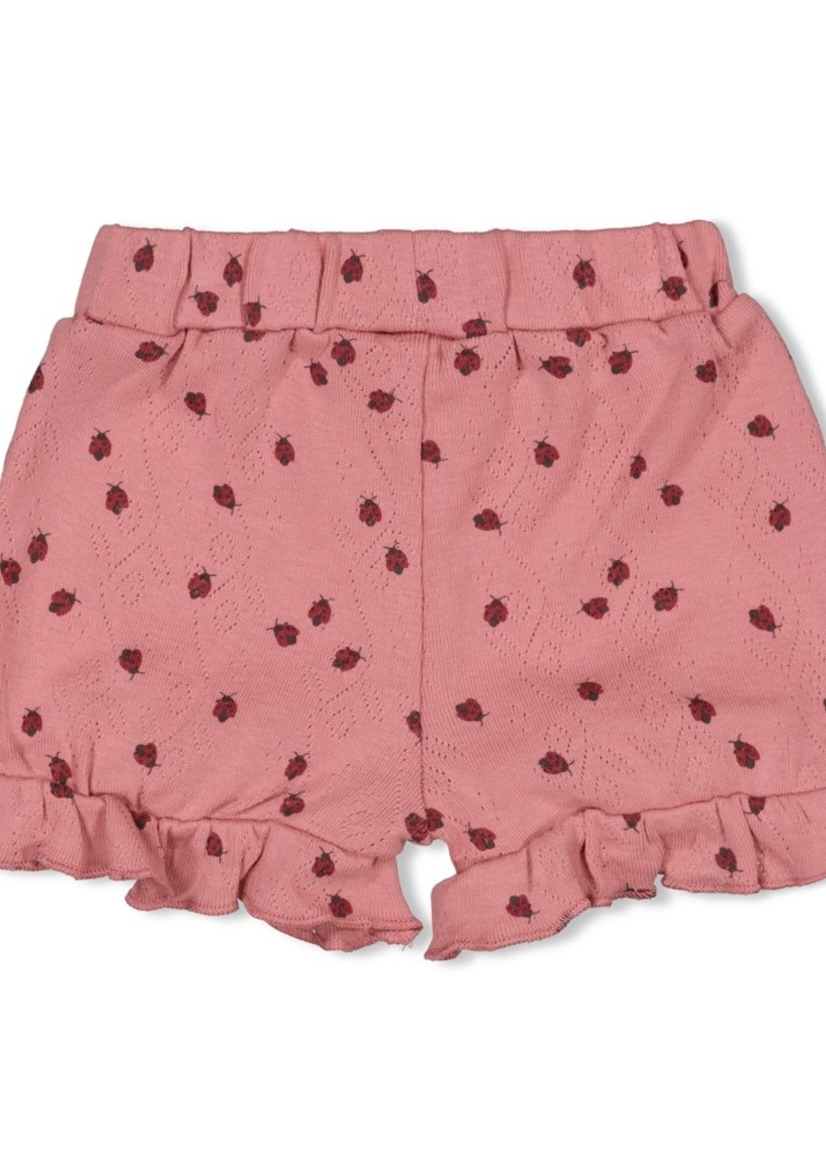 Feetje Feetje | Short ajour rib AOP - Ladybug