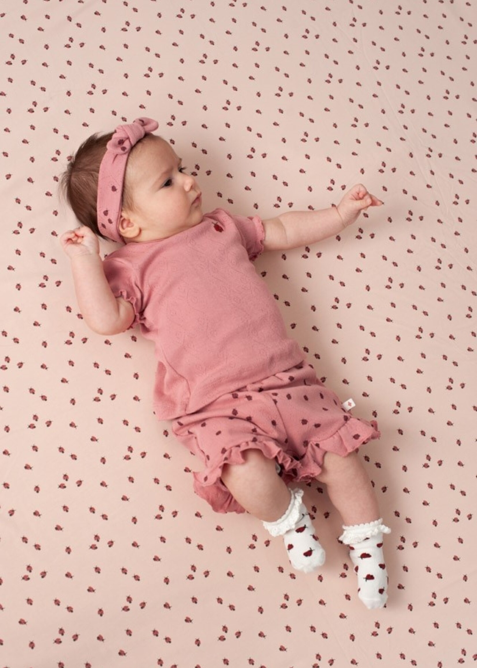 Feetje Feetje | Short ajour rib AOP - Ladybug