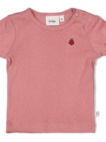 Feetje Feetje | T-shirt ajour rib - Ladybug