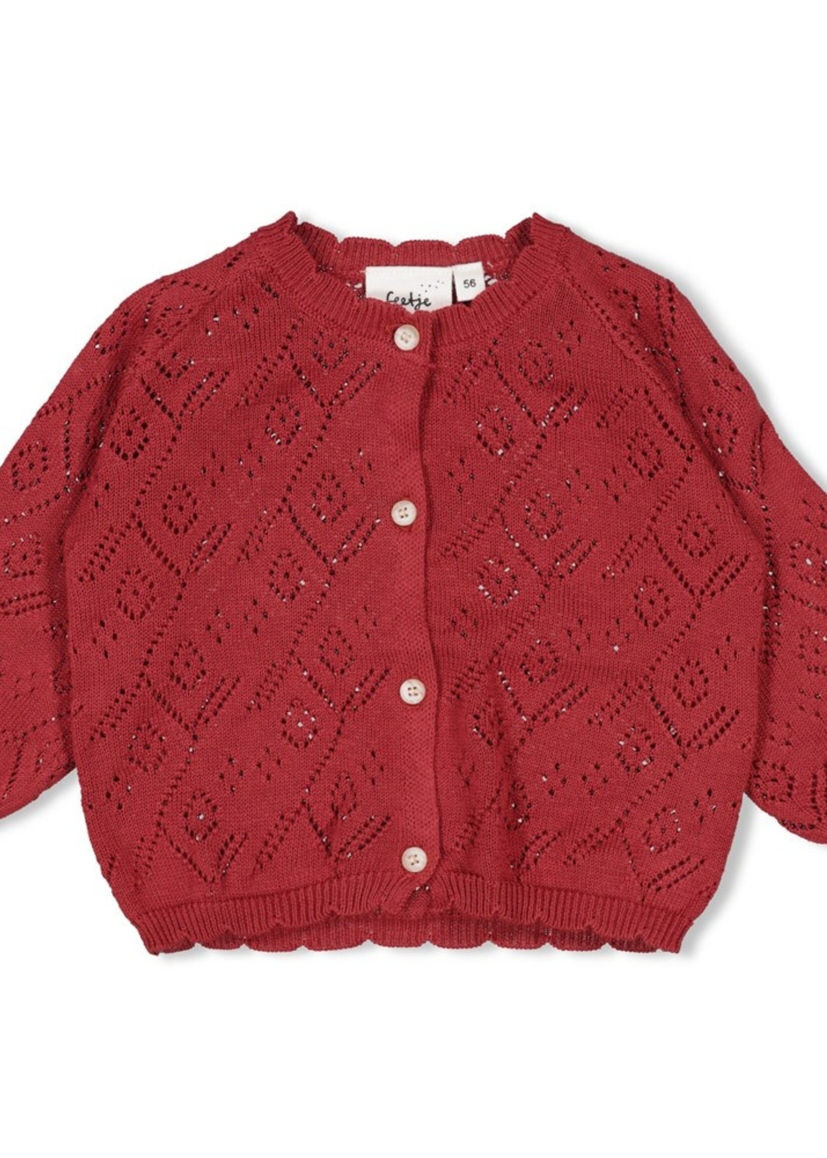 Feetje Feetje | Vestje gebreid - Ladybug - Berry