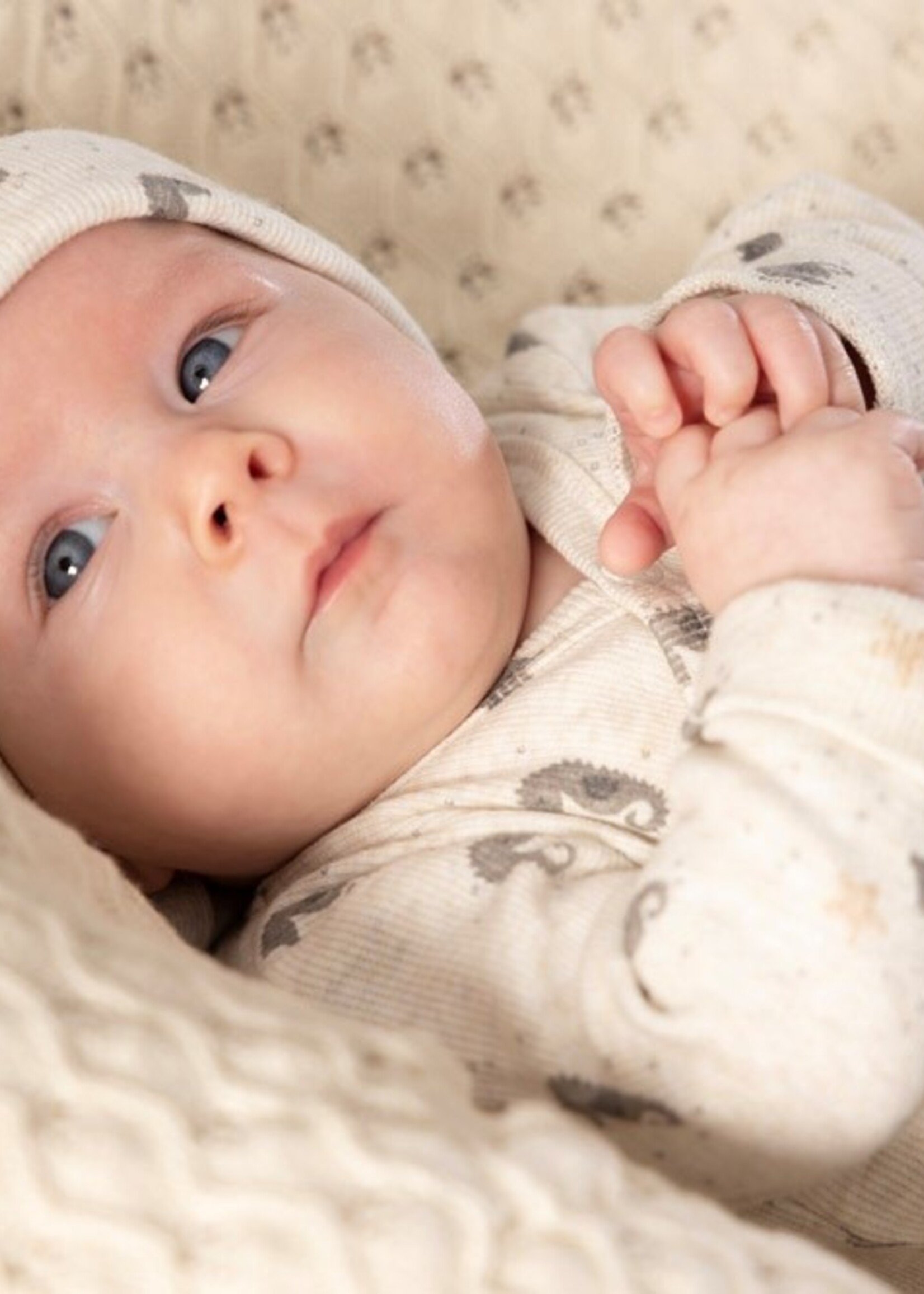 Feetje Feetje | Wikkelromper rib AOP - Sea Sweeties - Offwhite melange