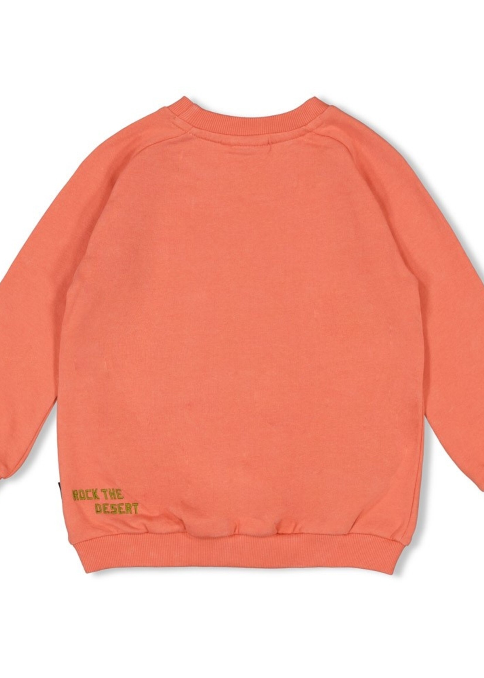 Sturdy Sturdy | Sweater - Desert Fiesta - Koraal