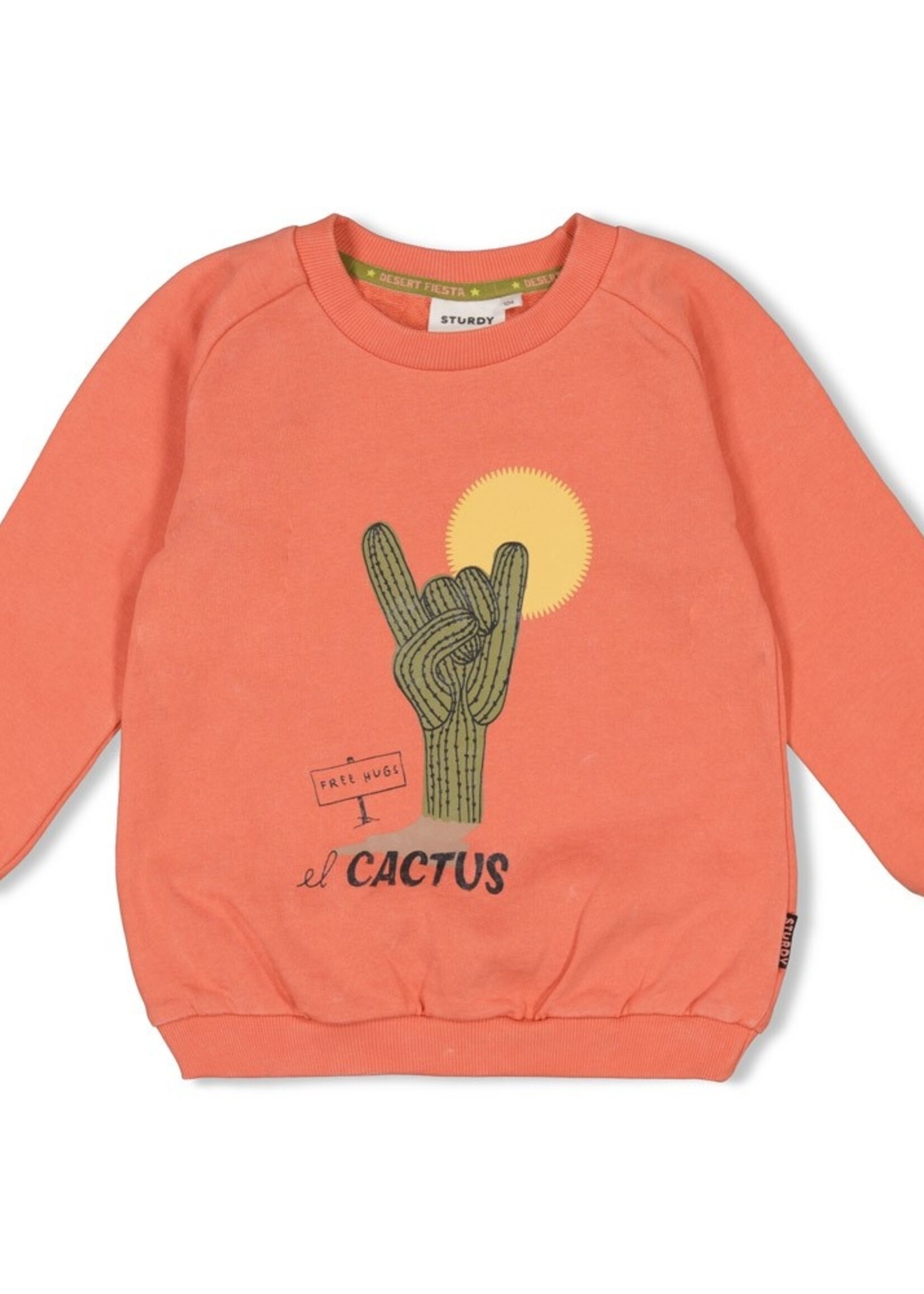 Sturdy Sturdy | Sweater - Desert Fiesta - Koraal