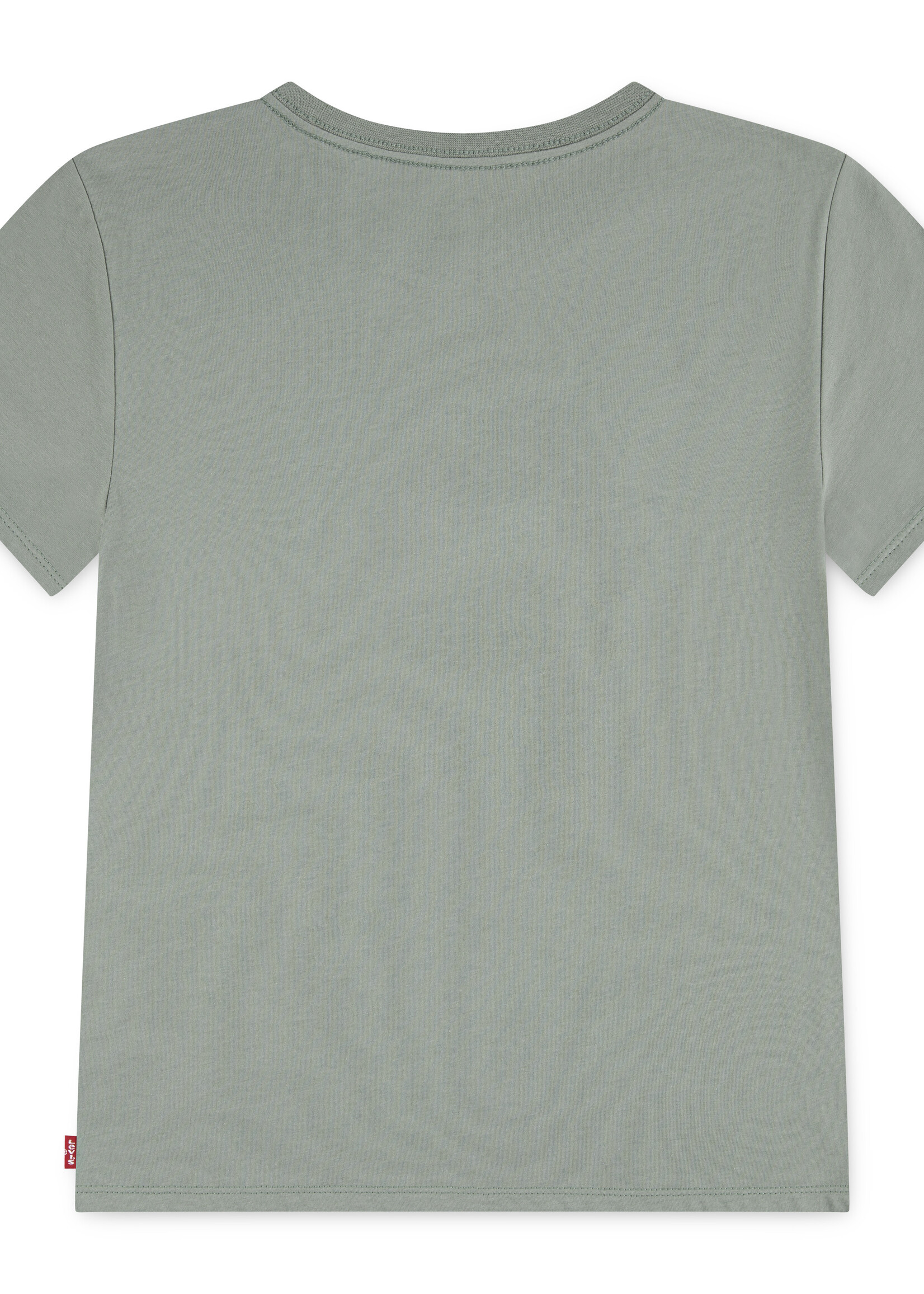 Levi's Levi's | LVG BATWING TEE - SHADOW