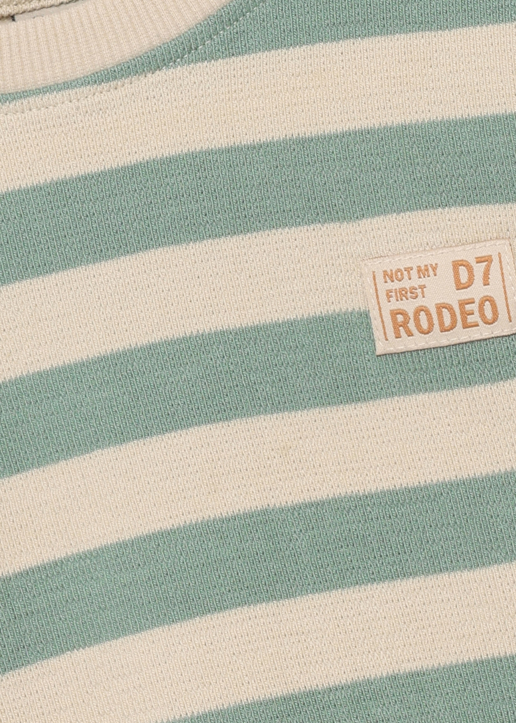 Daily7 Daily7 | T-shirt Longsleeve Stripe – Green