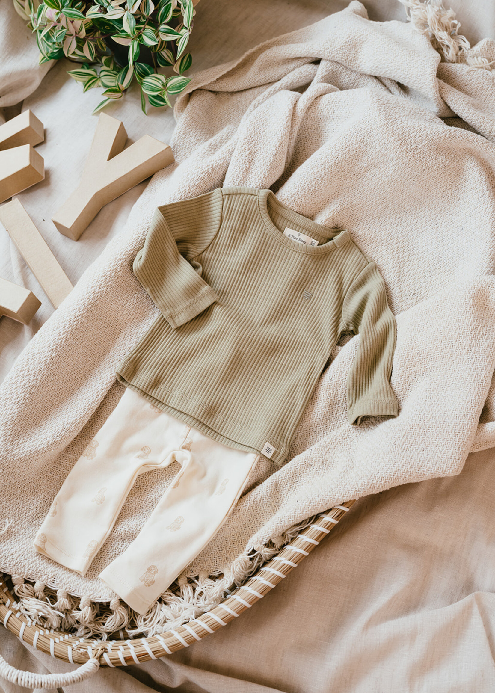 A Tiny Story A Tiny Story | baby t-shirt long sleeve - Moss