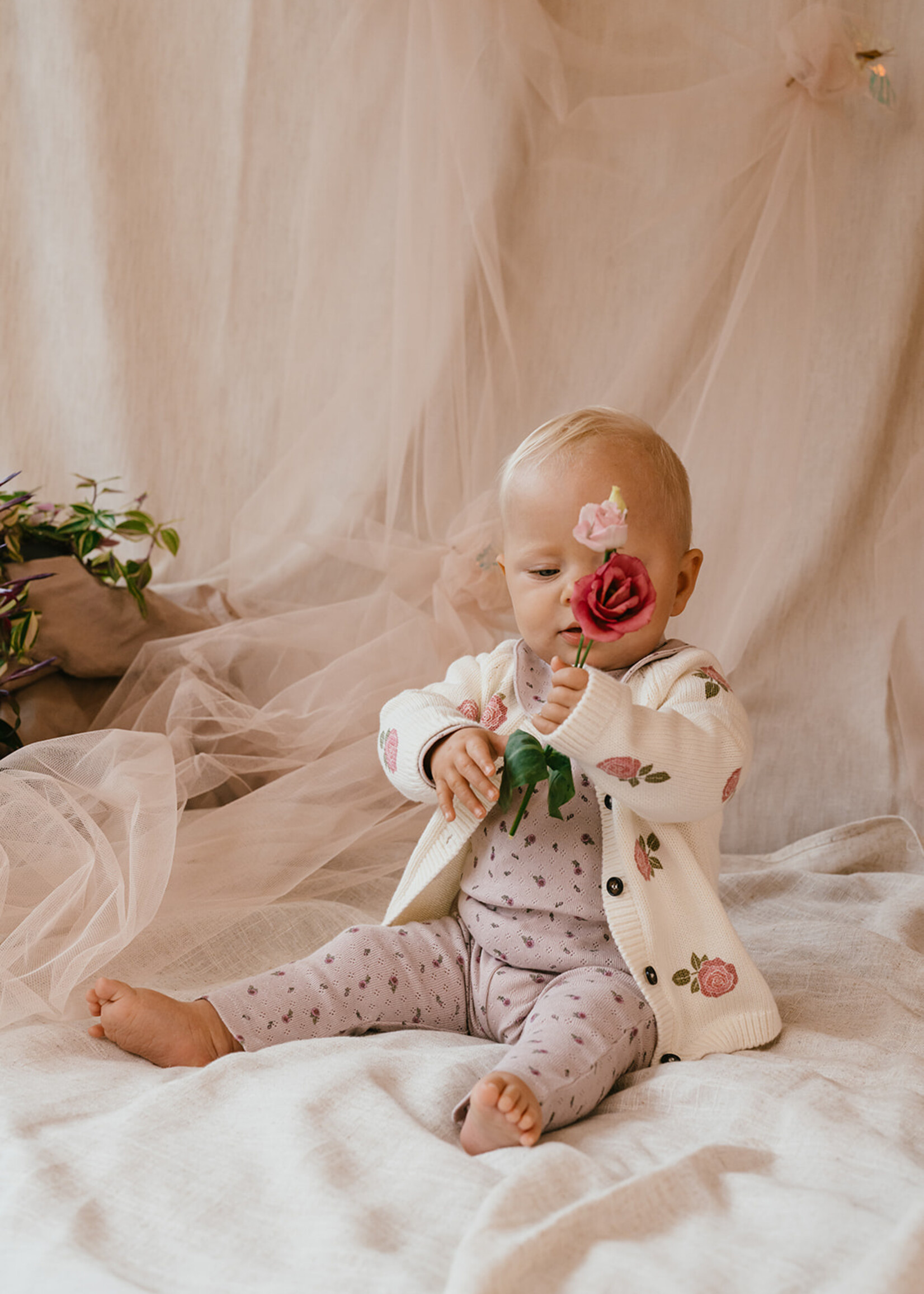 A Tiny Story A Tiny Story | baby cardigan - Ecru