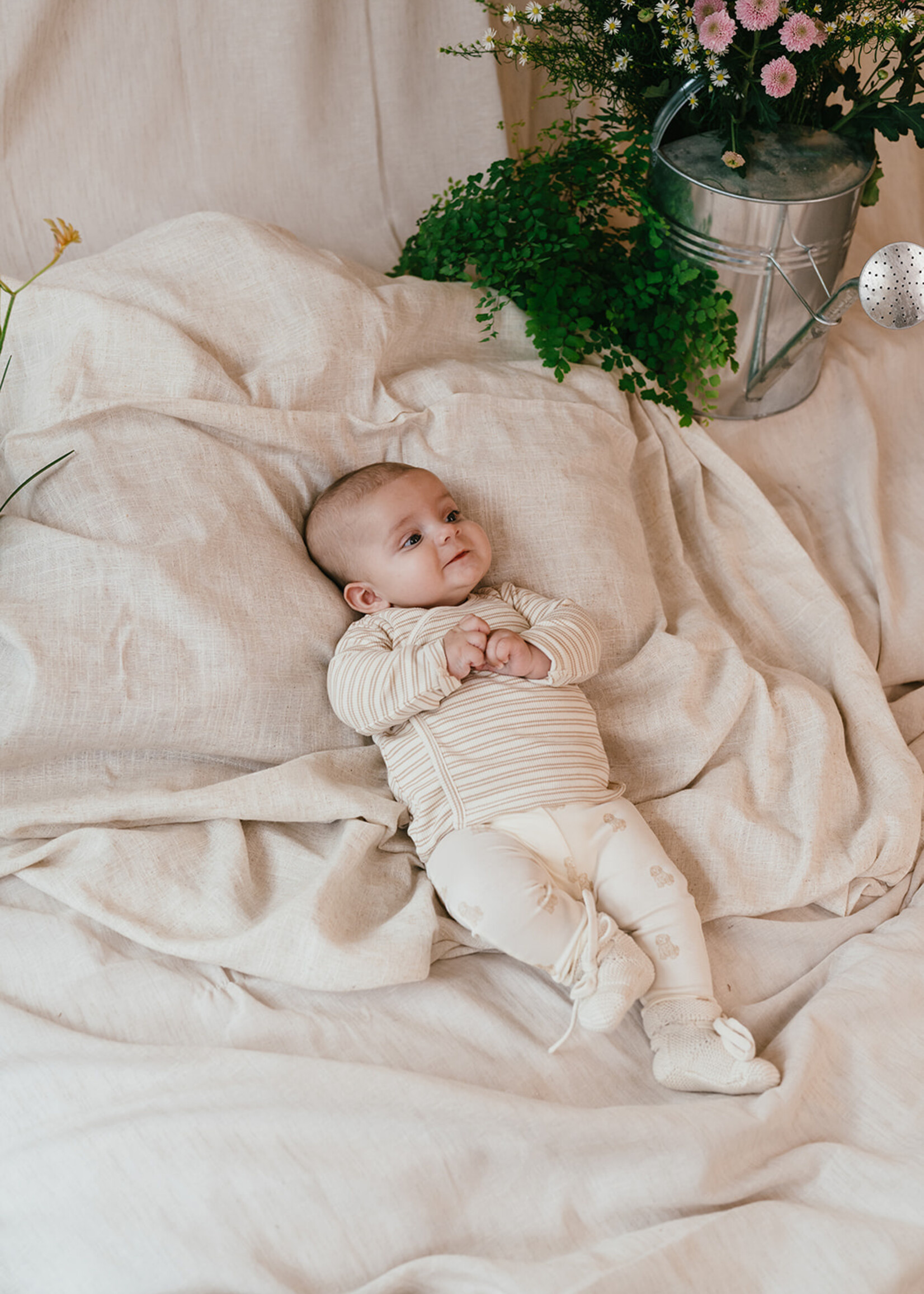 A Tiny Story A Tiny Story | baby pants - Ecru