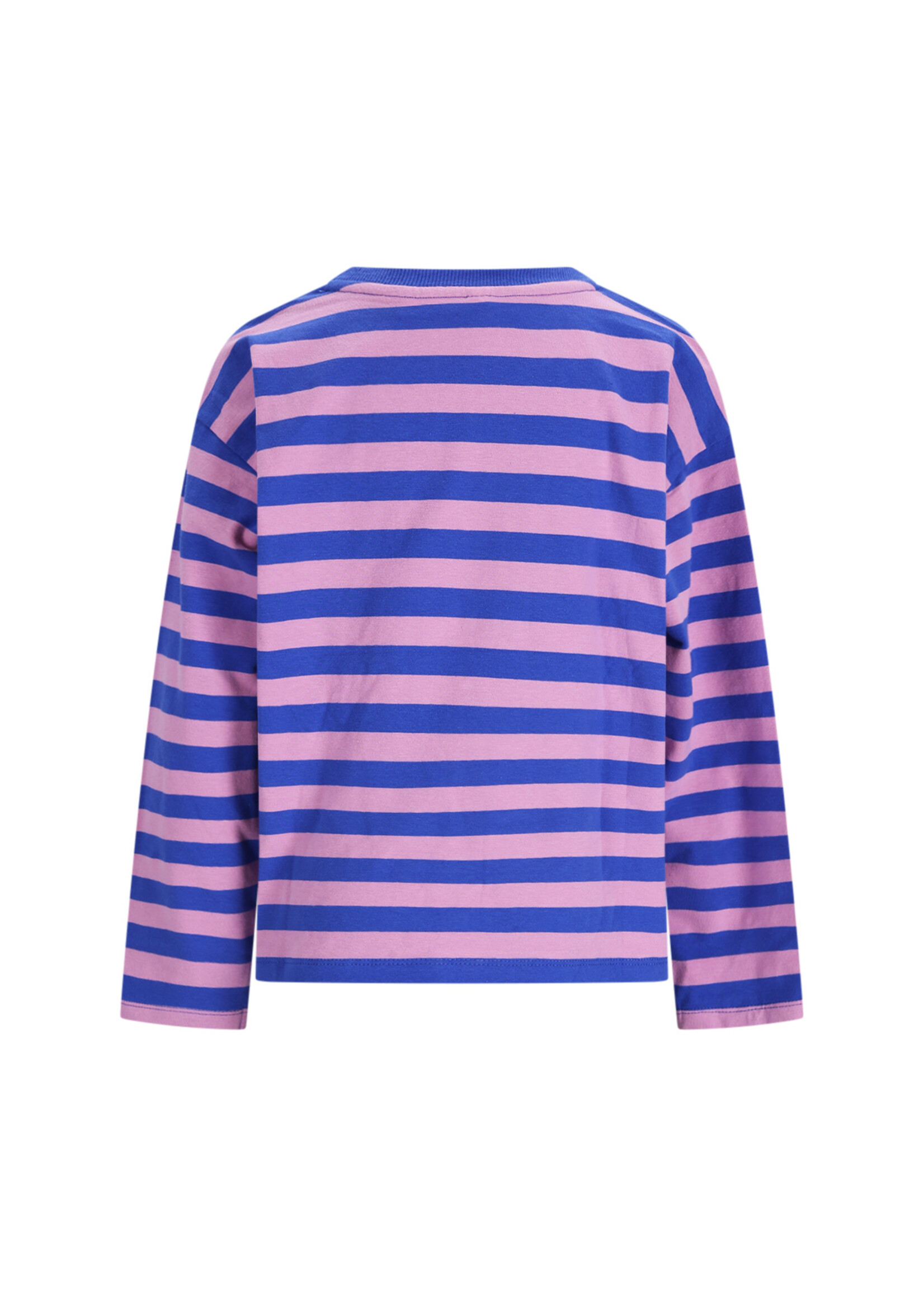 The New Chapter The New Chapter | T-shirt Lou – Blue Pink Stripes