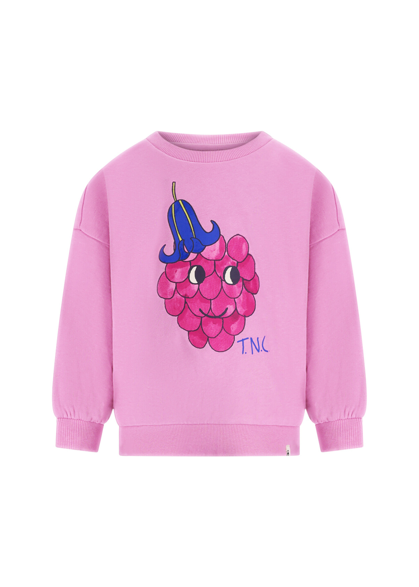 The New Chapter The New Chapter | Sweater Billie – Mauve Mist