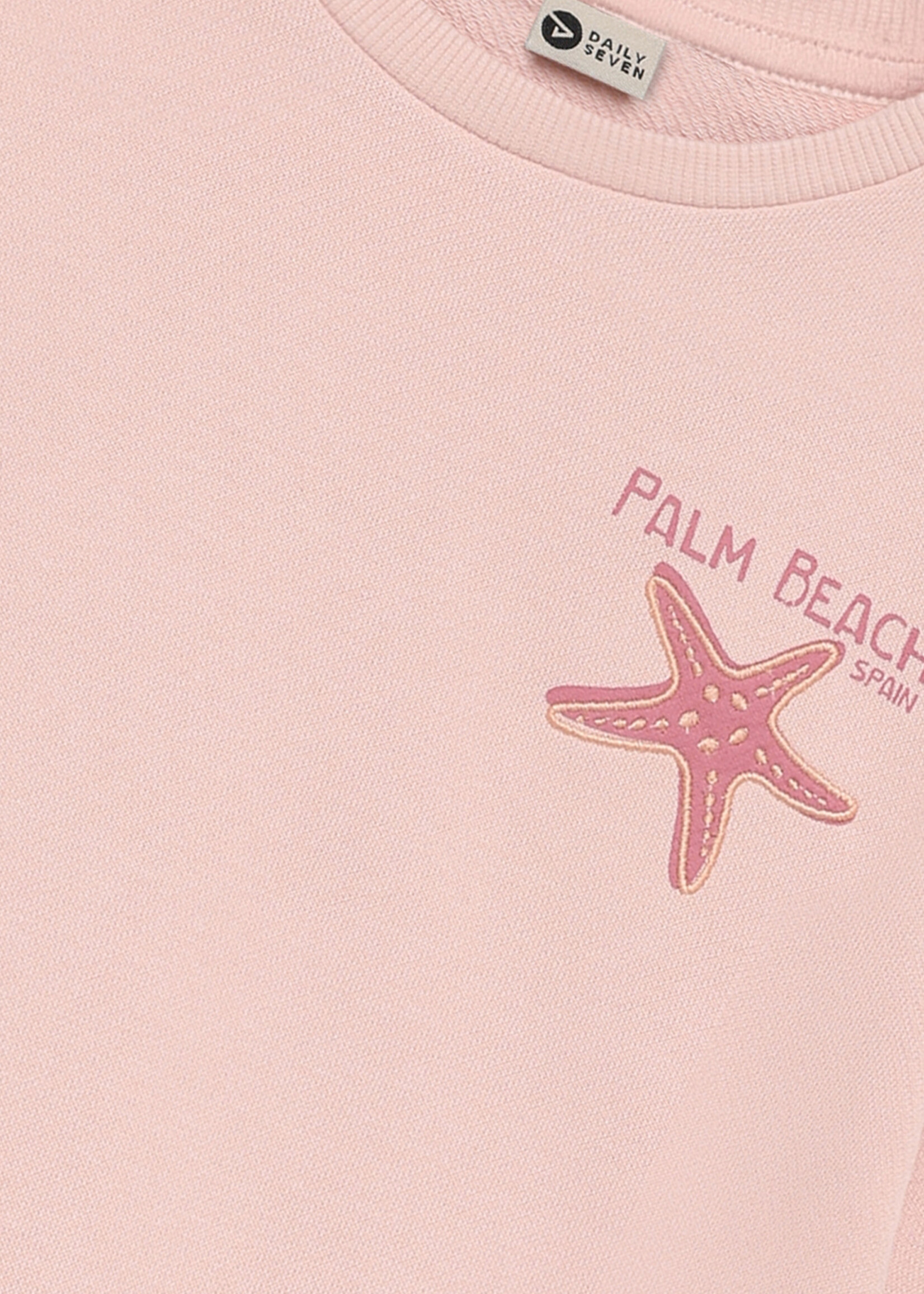 Daily7 Daily7 | Sweater Backprint – Rose