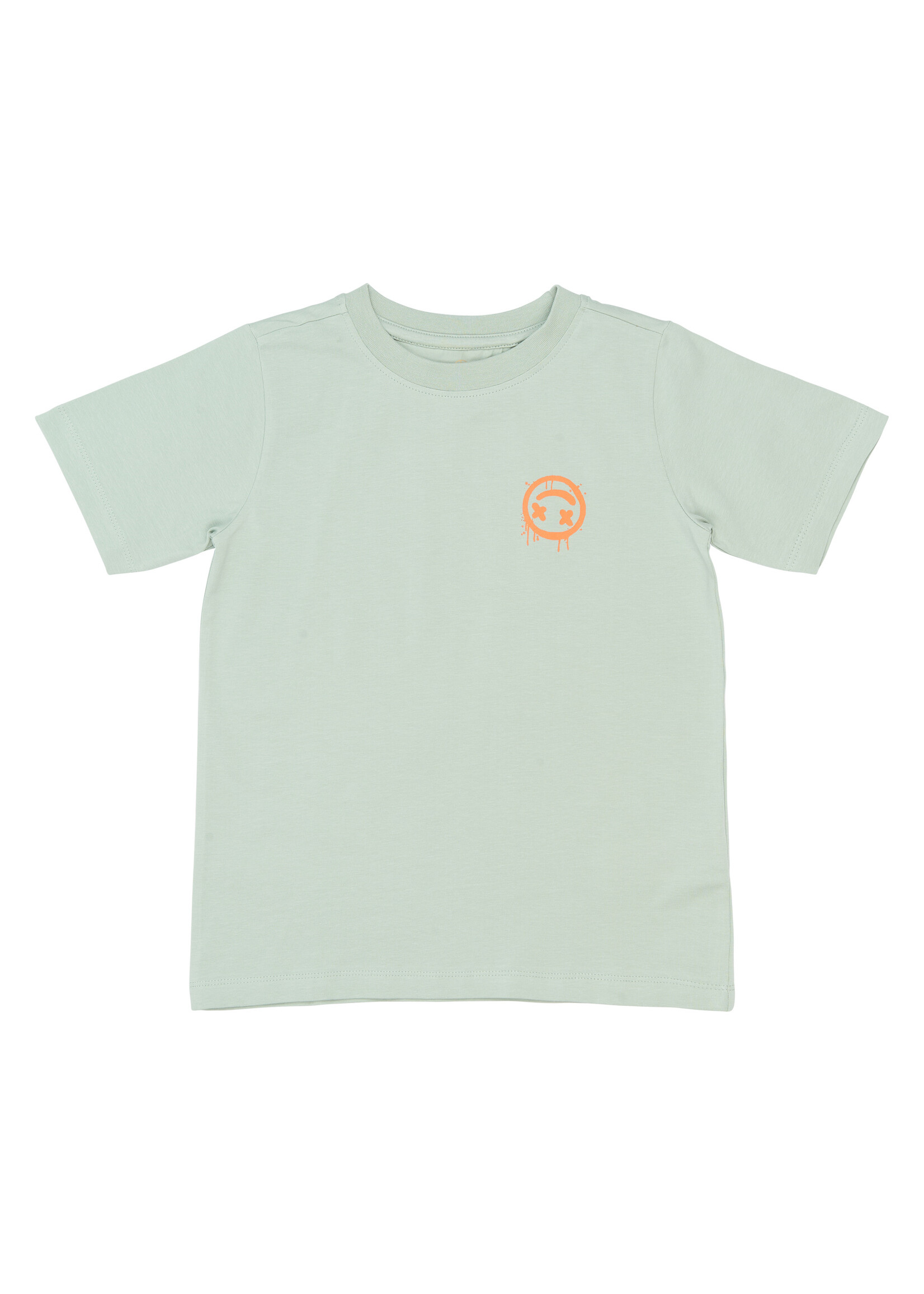 THE NEW THE NEW | TNSander S_S Tee - Aqua gray