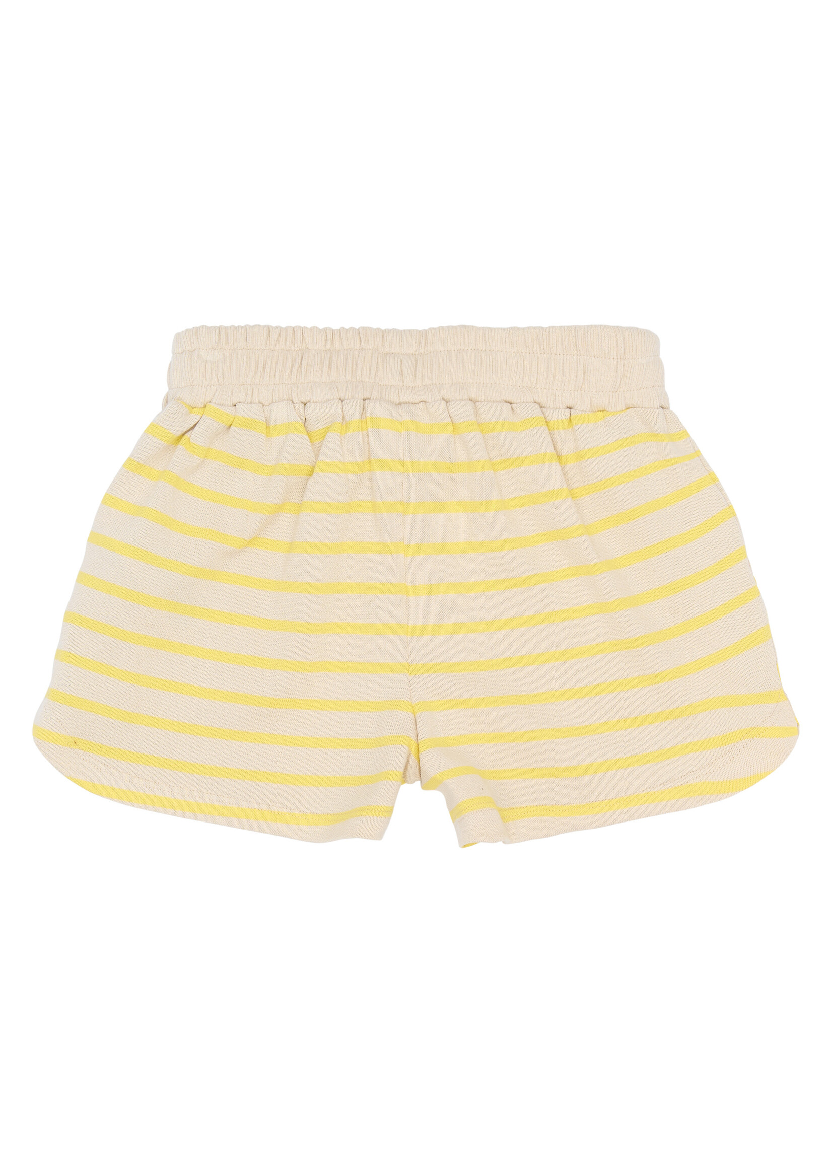 THE NEW THE NEW | TNShannon Shorts - Acacia Striped
