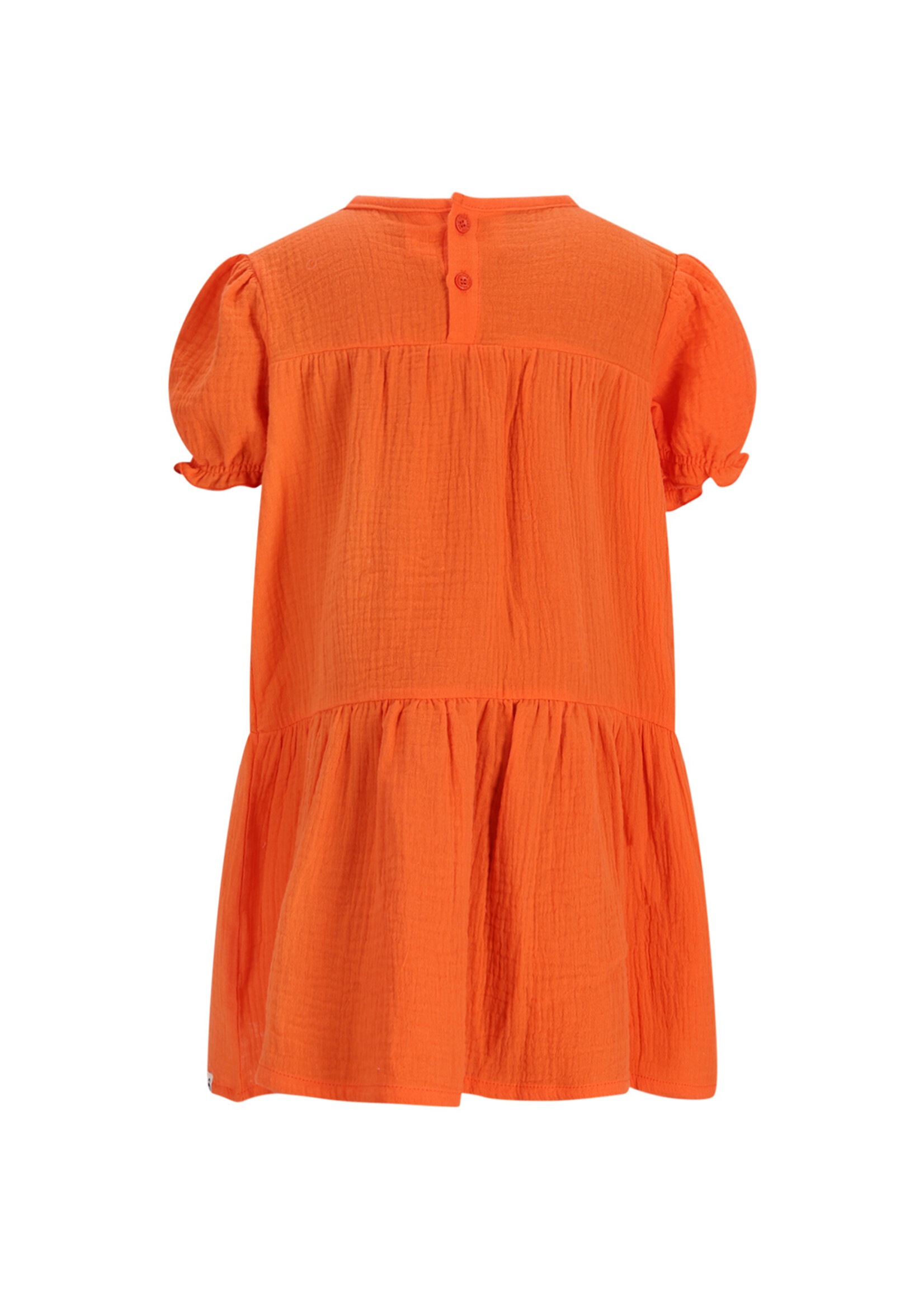 The New Chapter The New Chapter |  Dress Coco – Grenadine