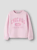 Name It Name it | NKFFABIA ls nreg sweat bru - Pirouette
