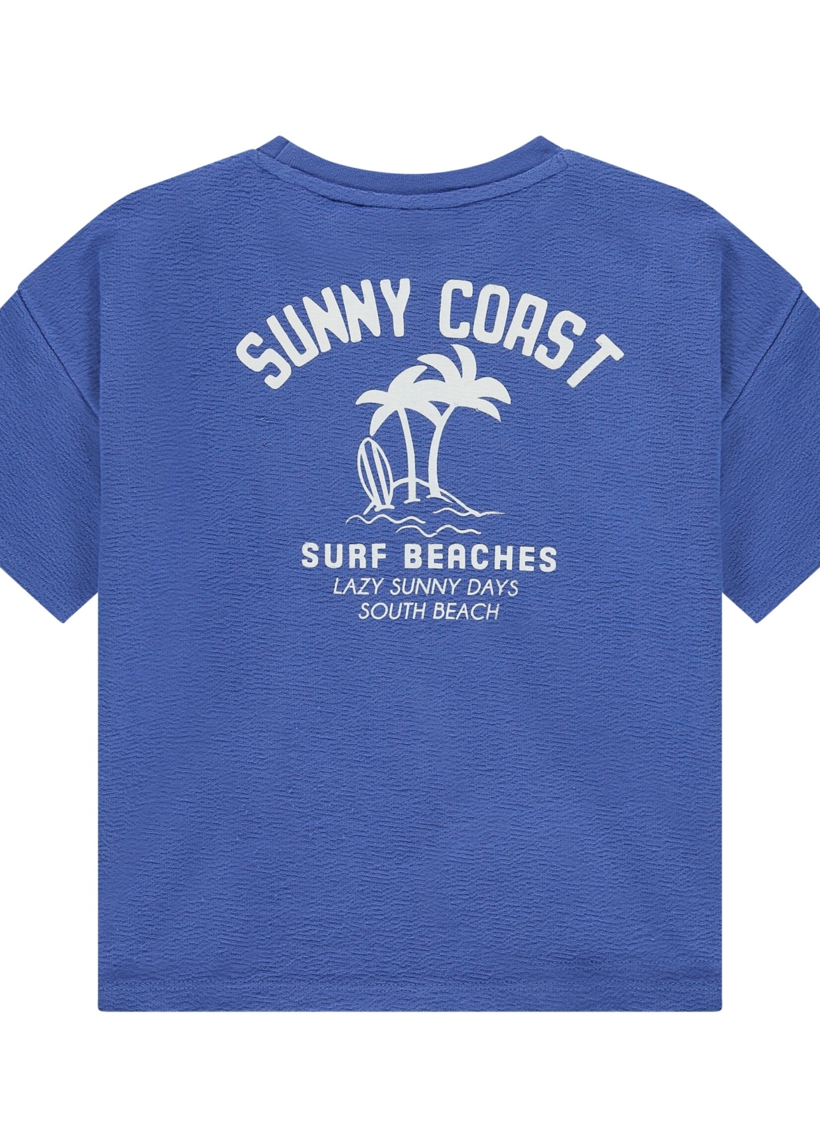 Stains & Stories | boys t-shirt short sleeve - Royal