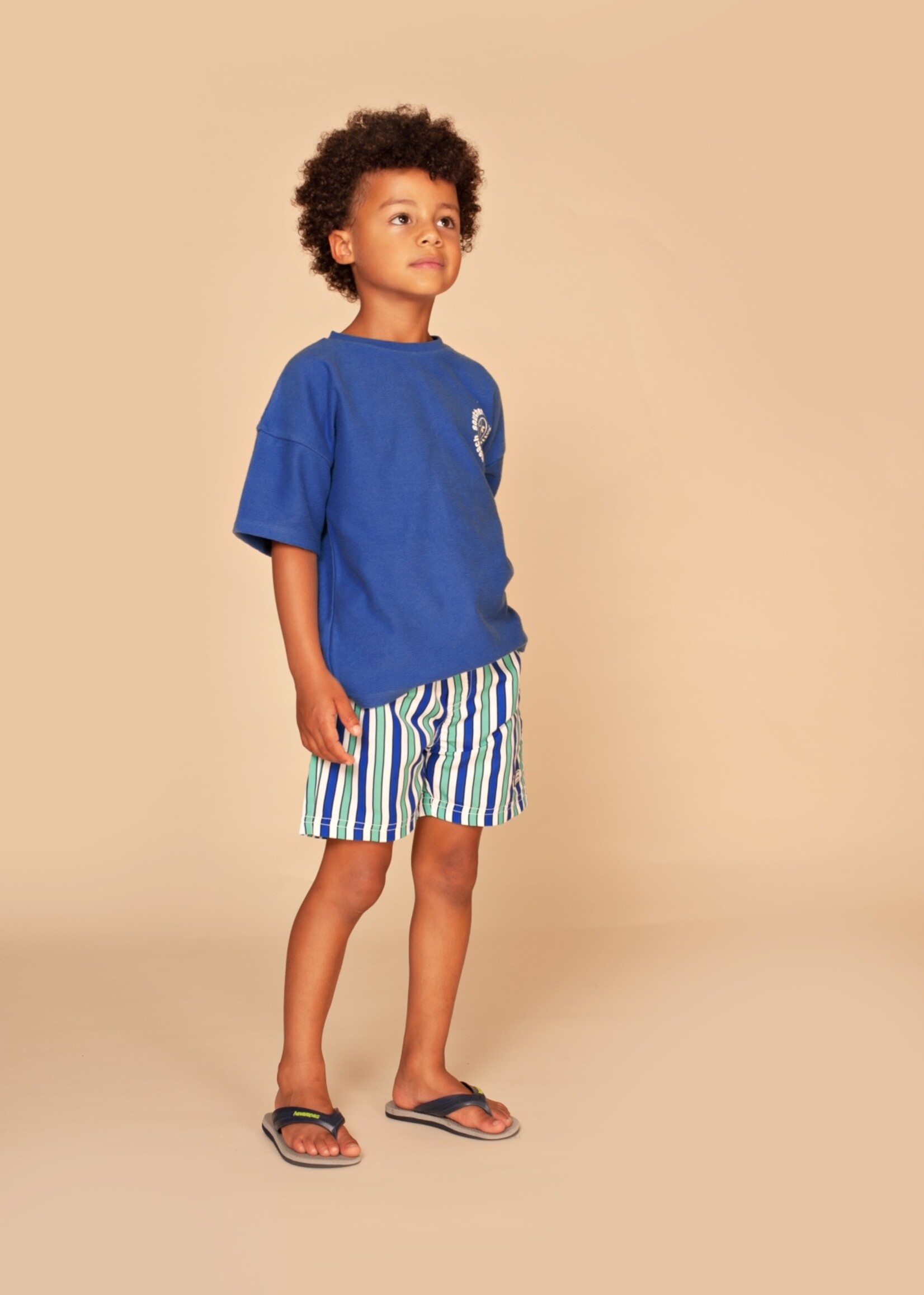 Stains & Stories | boys t-shirt short sleeve - Royal