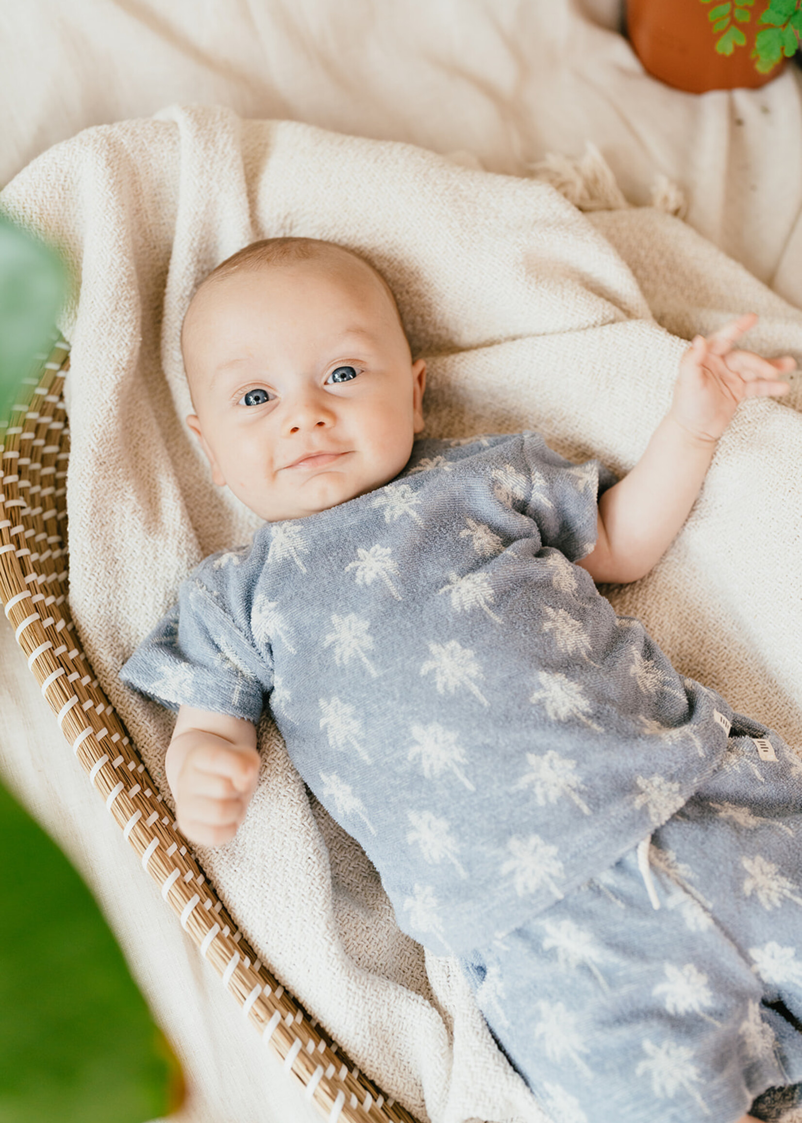 A Tiny Story A Tiny Story | baby t-shirt short sleeve – Light Blue 2