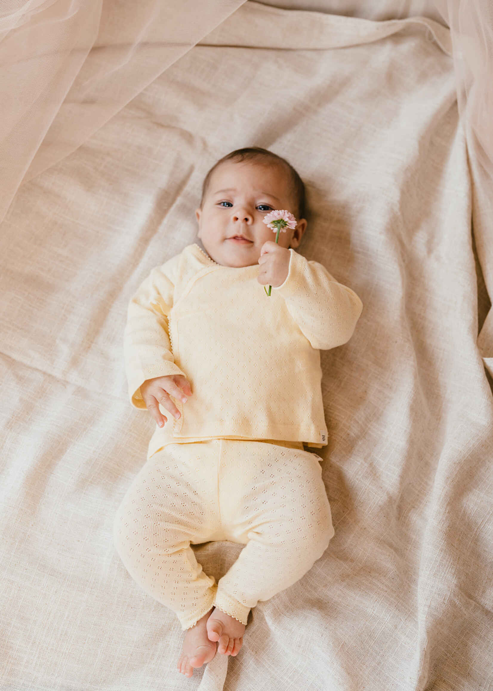 A Tiny Story A Tiny Story | baby pants – Buttercup