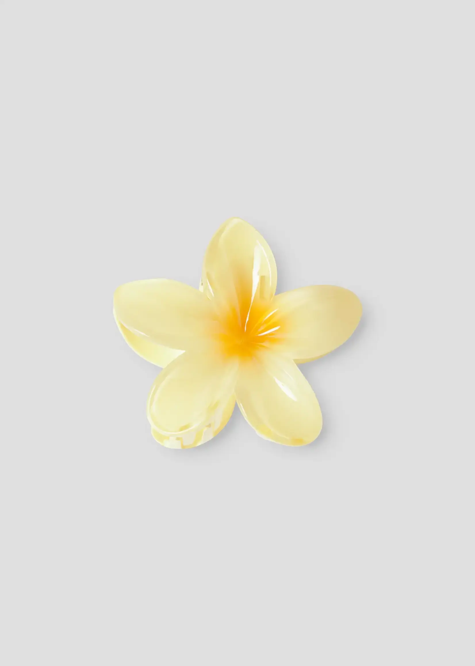 Name It Name it | NKFJIBISCUS hairclaw - Pear Sorbet